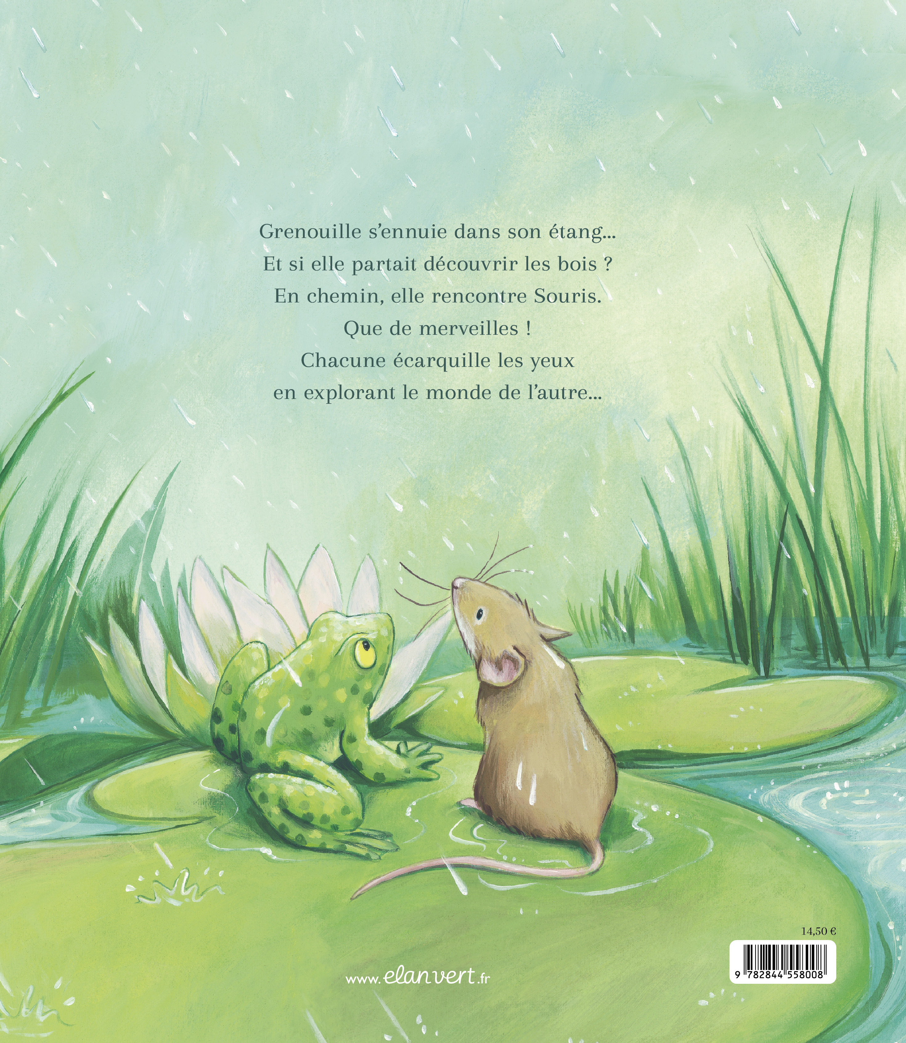 GRENOUILLE D