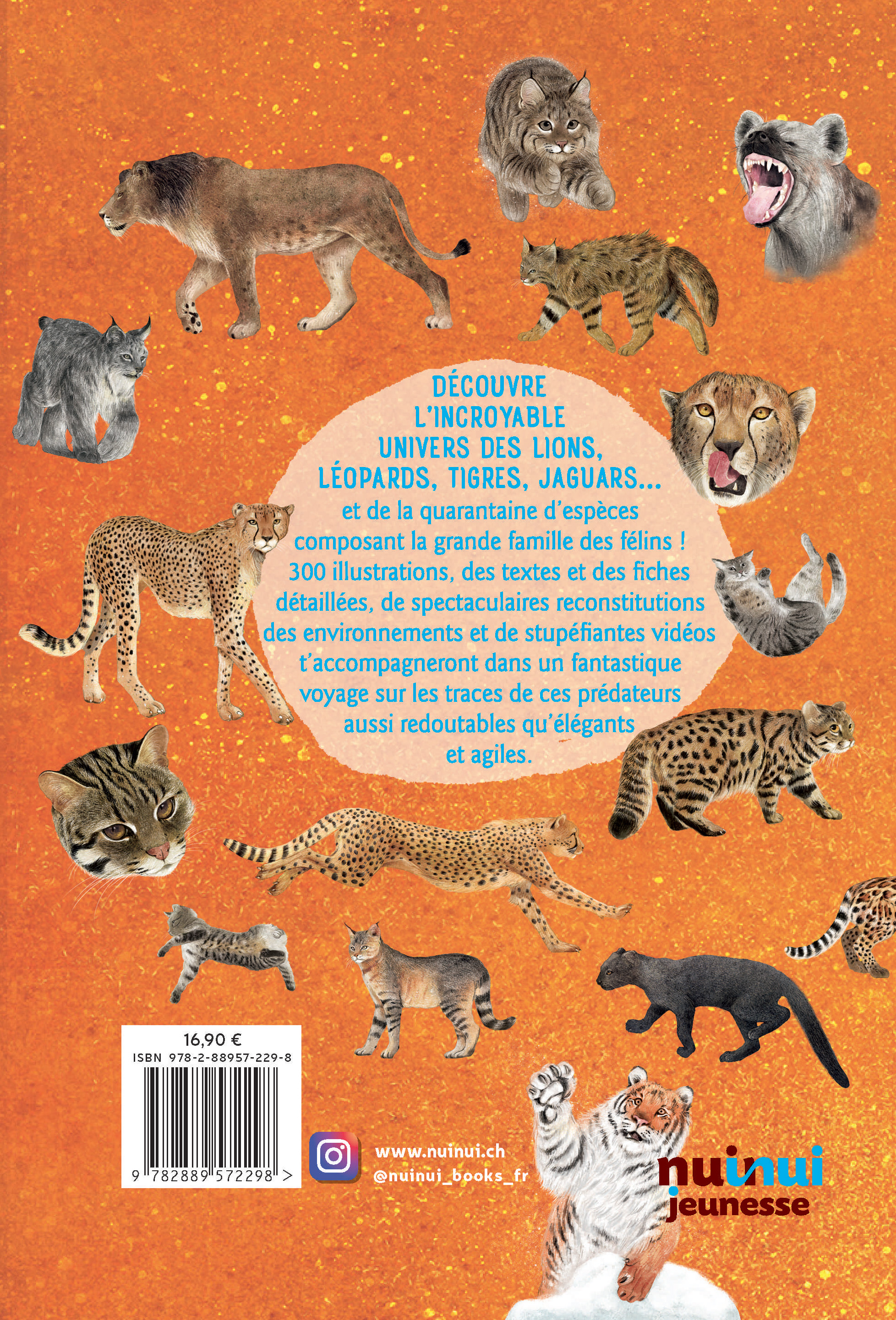 GUIDE DES FELINS DU MONDE