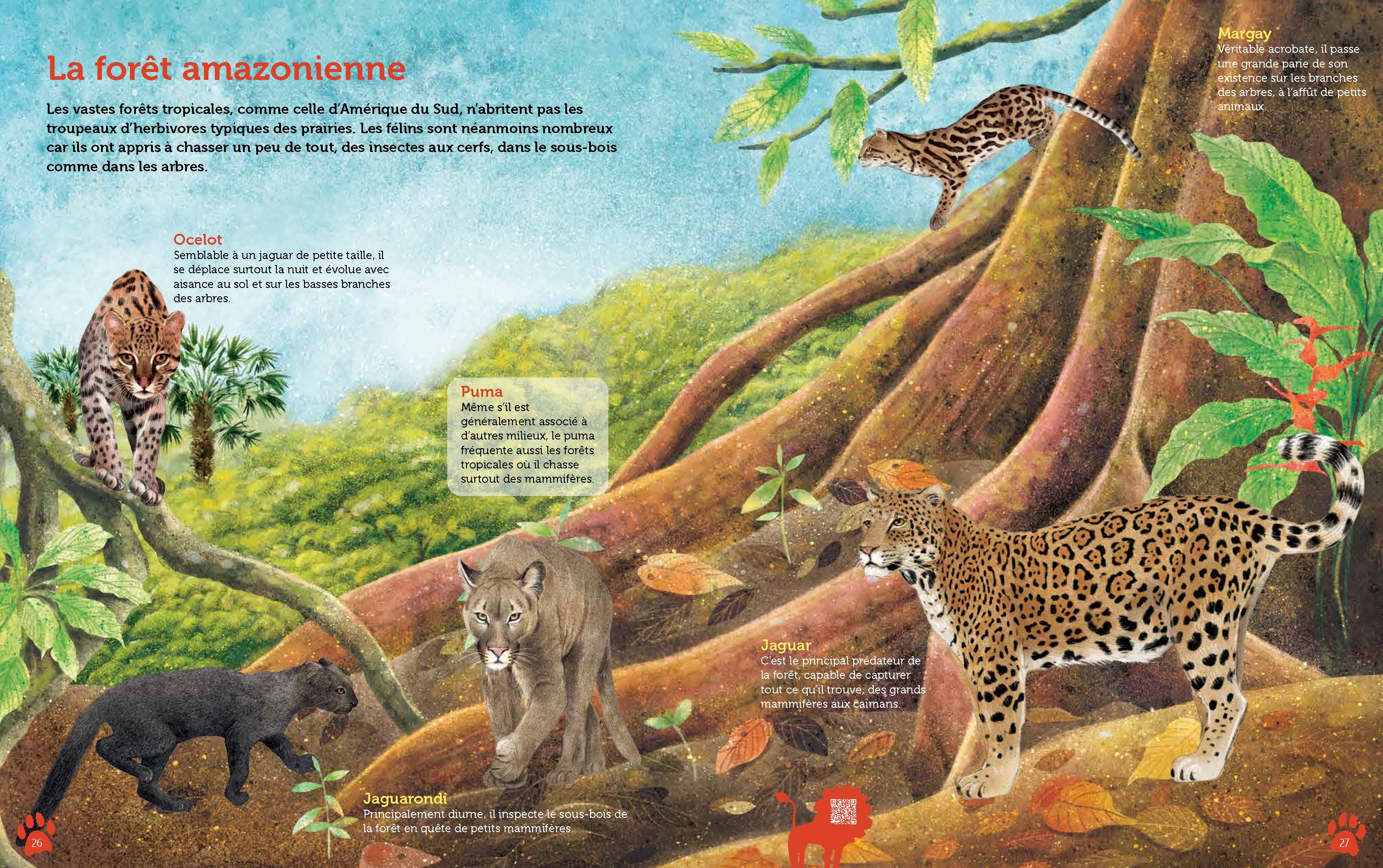 GUIDE DES FELINS DU MONDE