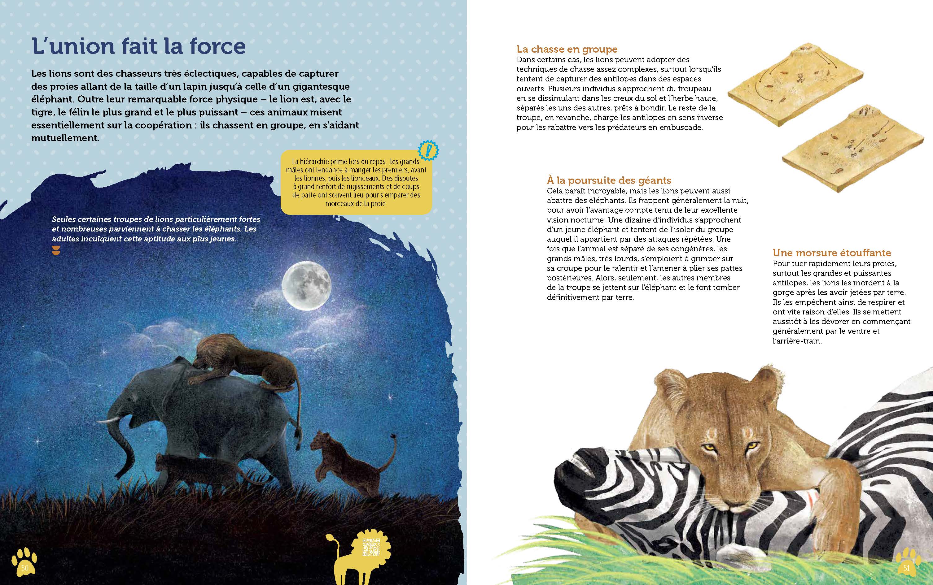 GUIDE DES FELINS DU MONDE