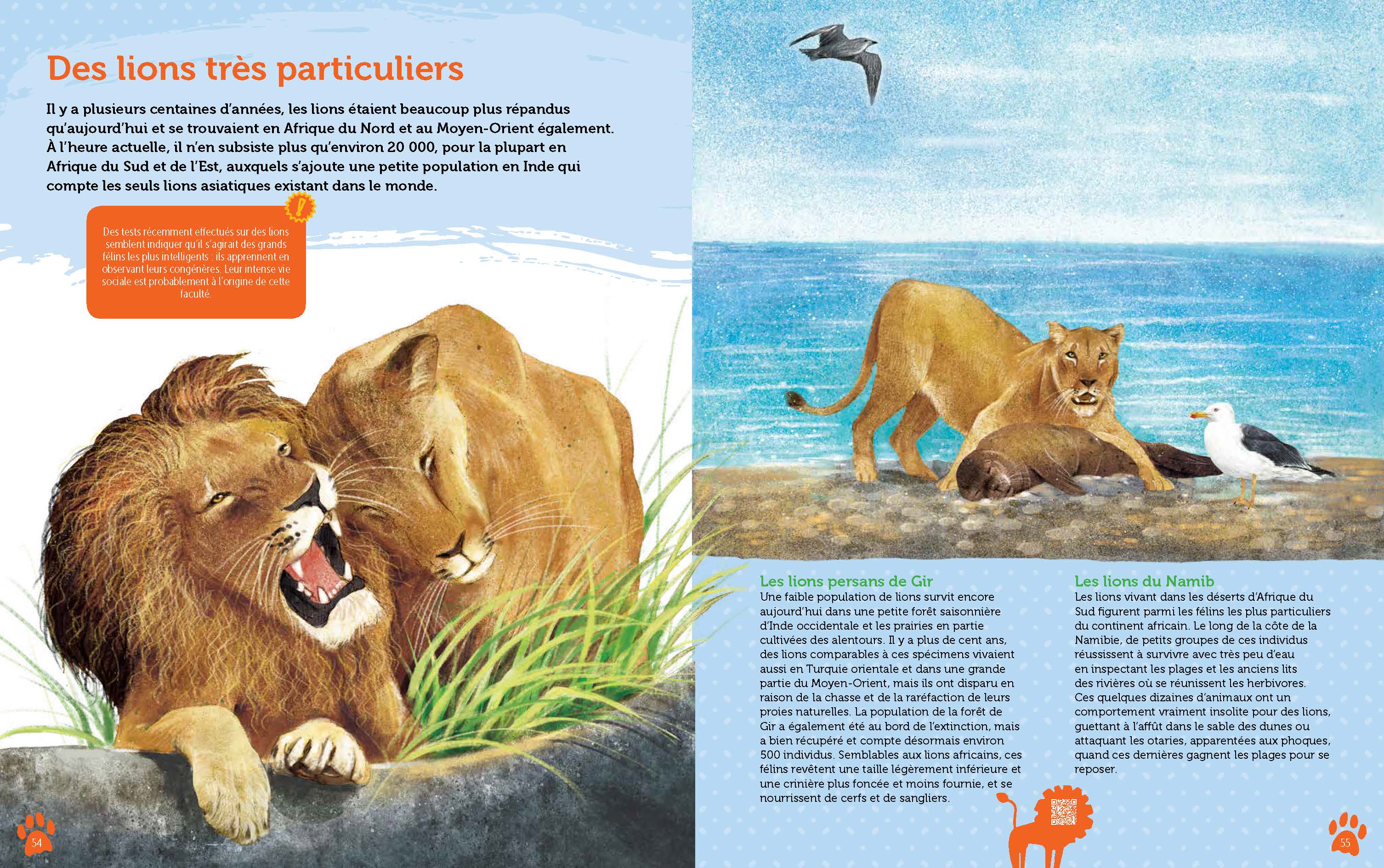 GUIDE DES FELINS DU MONDE