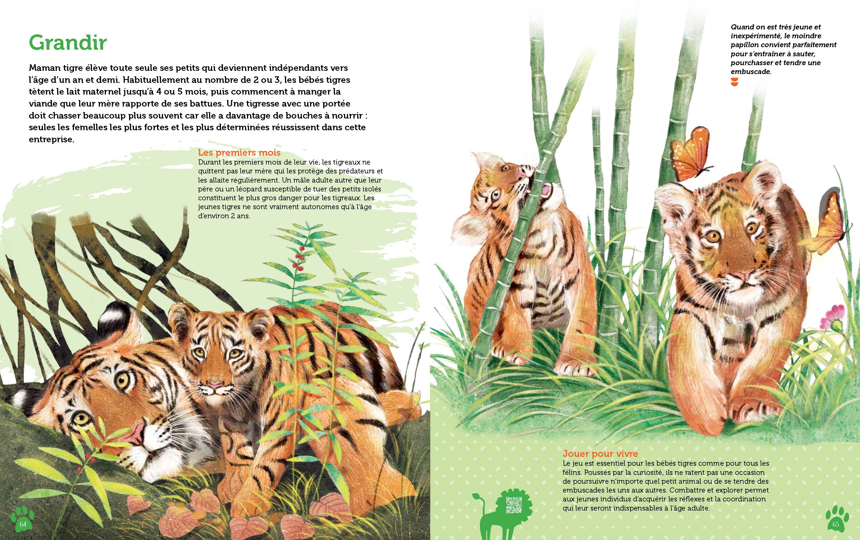 GUIDE DES FELINS DU MONDE