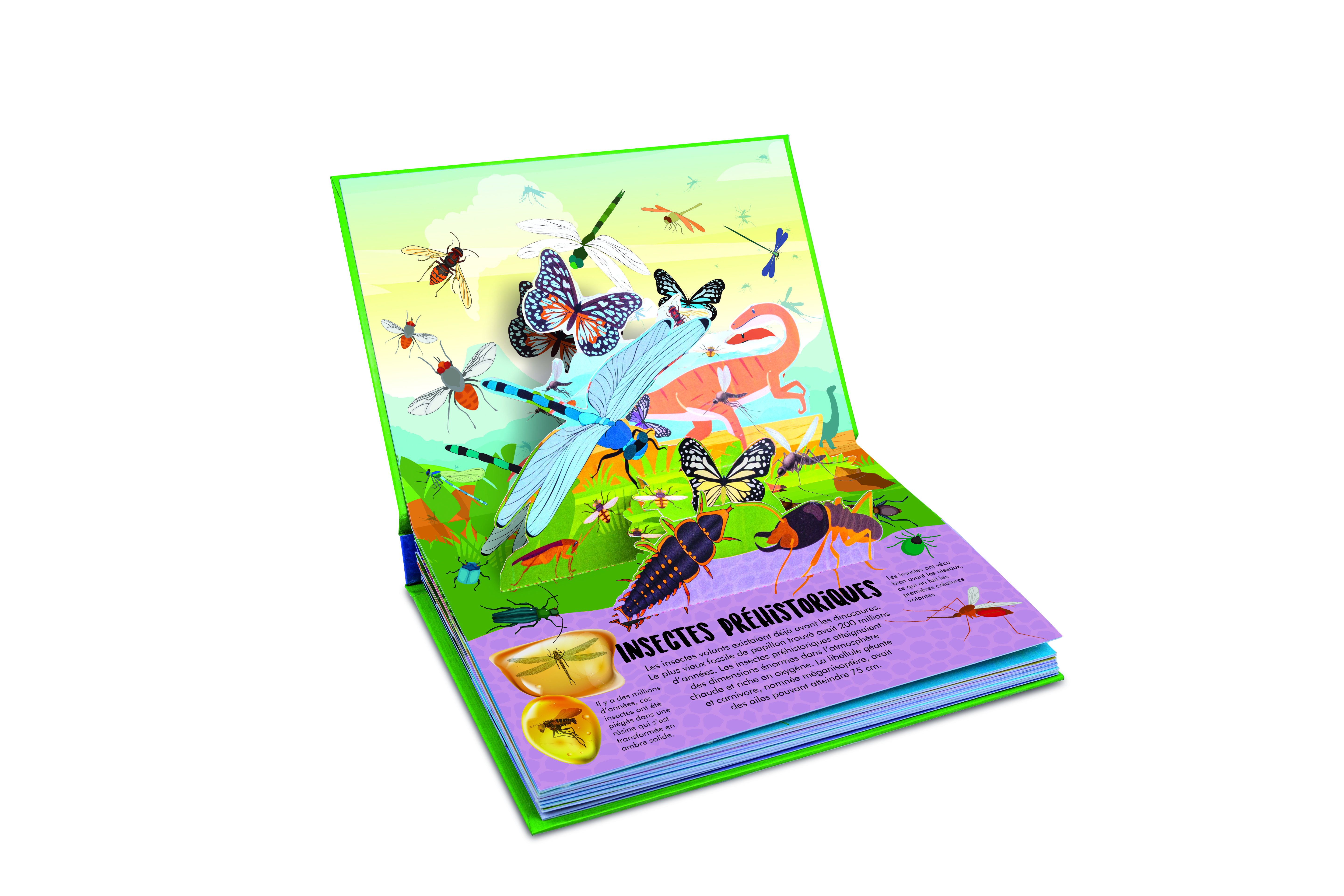 INSECTES  : LA NATURE EN POP-UP