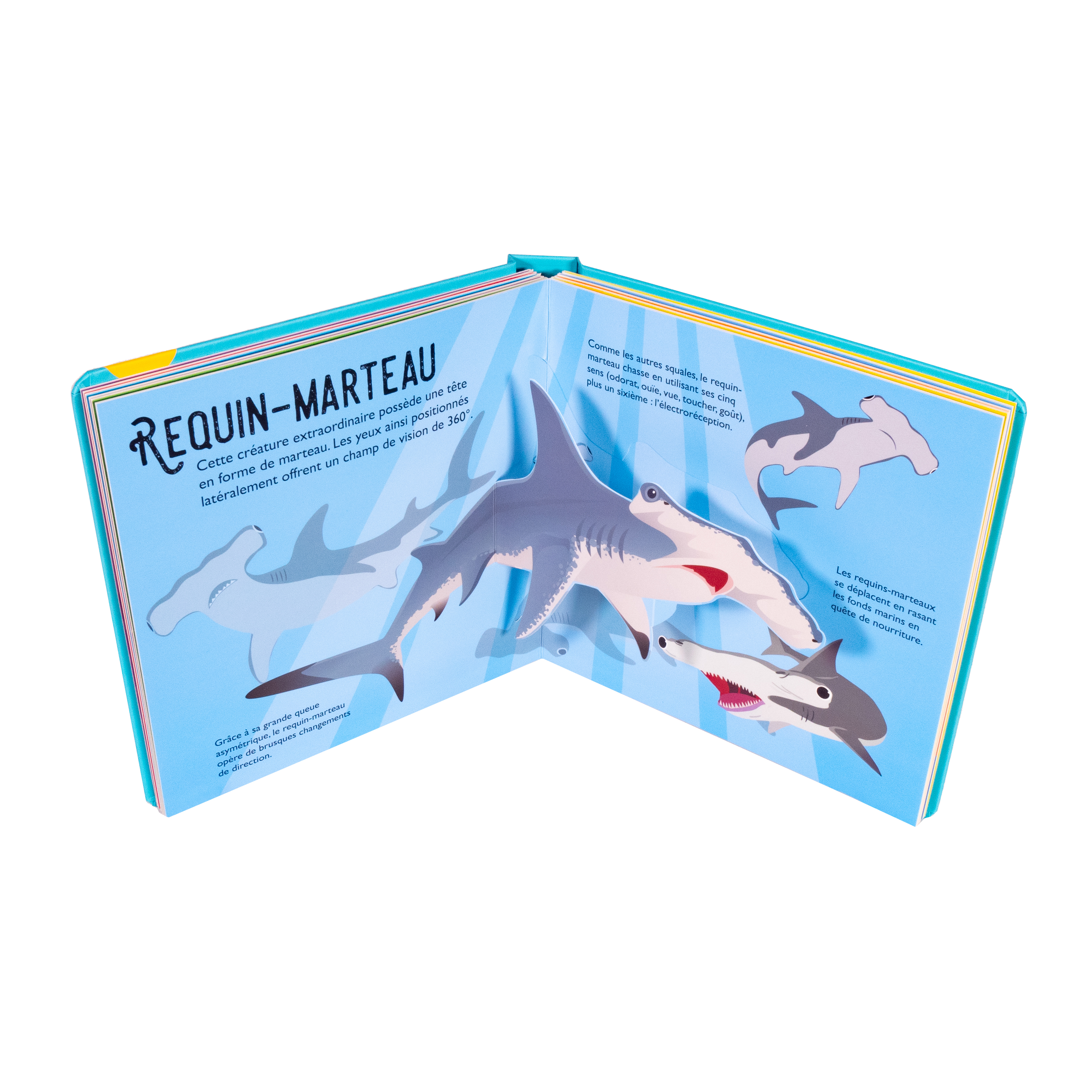 REQUINS : 10 POP-UP