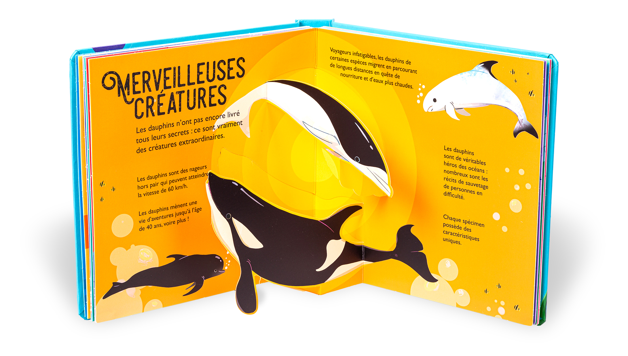 DAUPHINS : 10 POP-UP