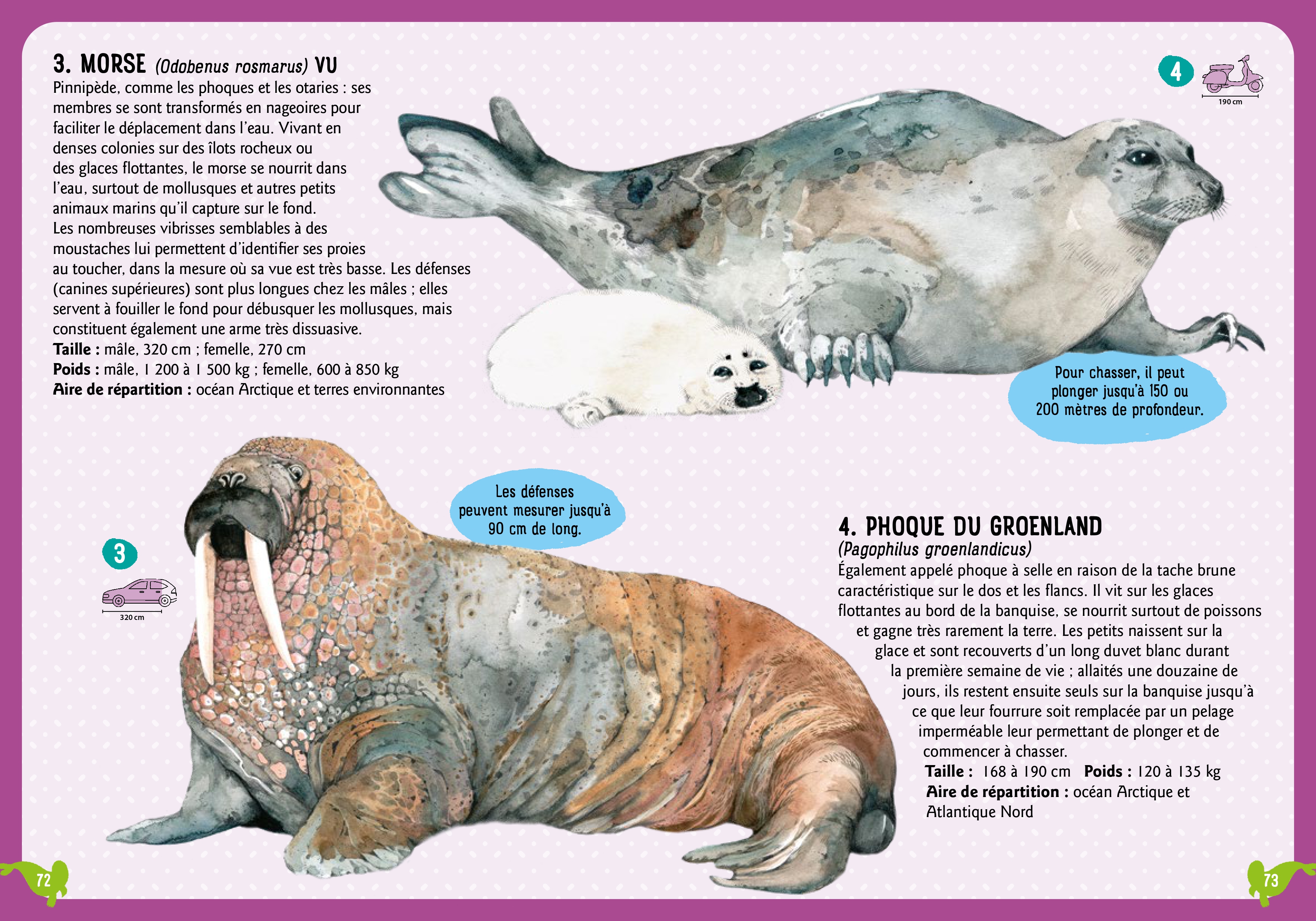 GUIDE DES MAMMIFERES DU MONDE