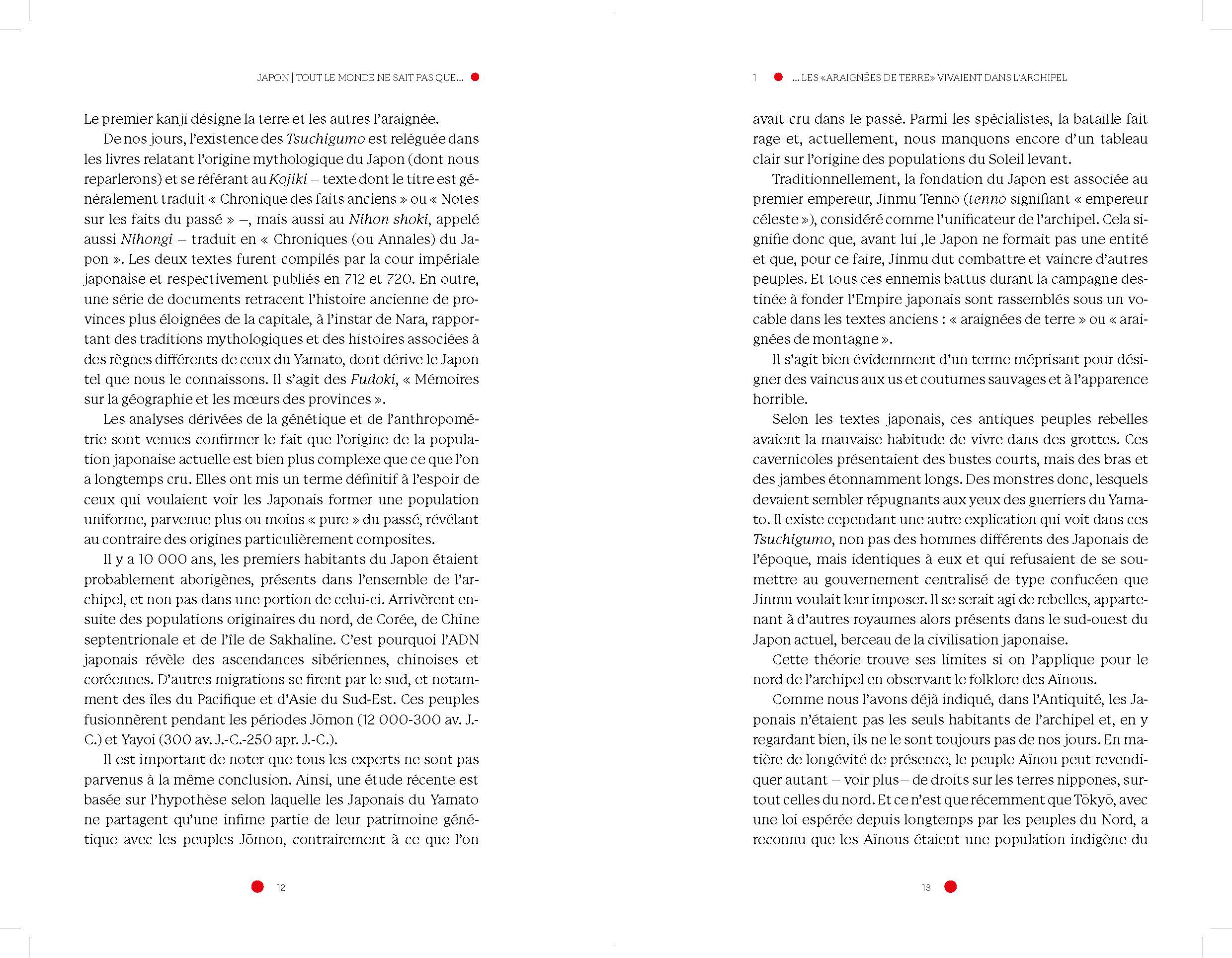 JAPON : TOUT LE MONDE NE SAIT PAS QUE... : HISTOIRES INEDITES, MYSTERES ET LIEUX INCONNUS JAPON : TOUT LE MONDE NE SAIT PAS QUE... : HISTOIRES INEDITES, MYSTERES ET LIEUX INCONNUS