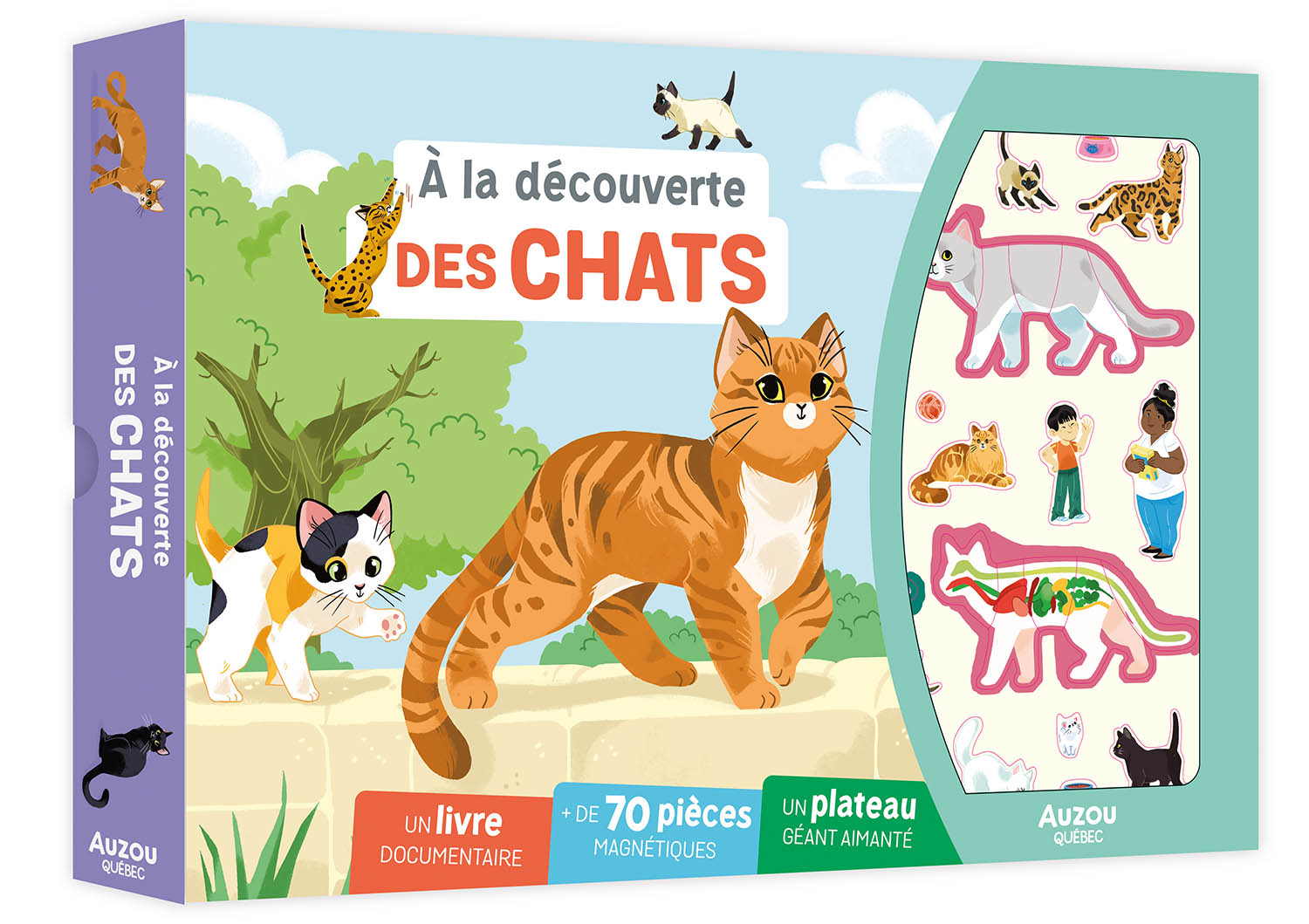 À La Découverte Des Chats
