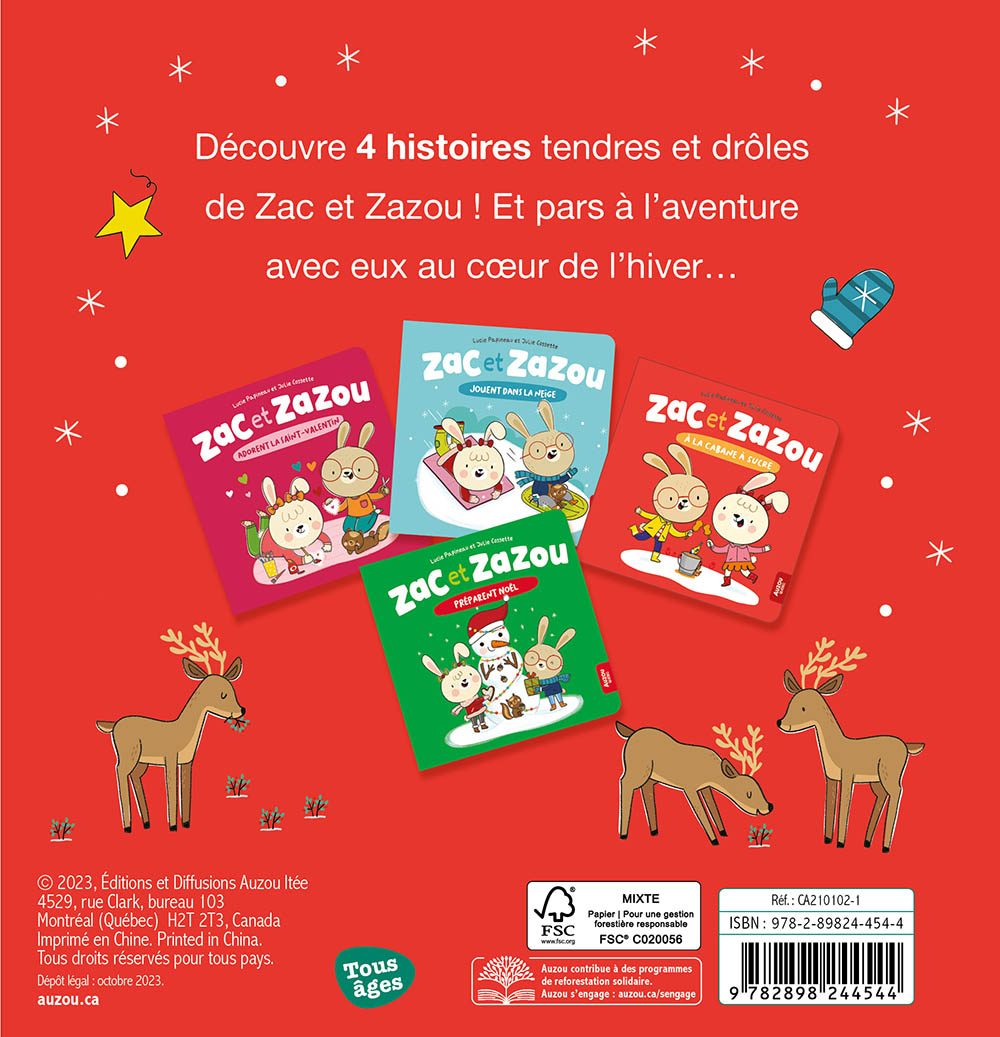 Bibliothèque Au Cœur De L'hiver