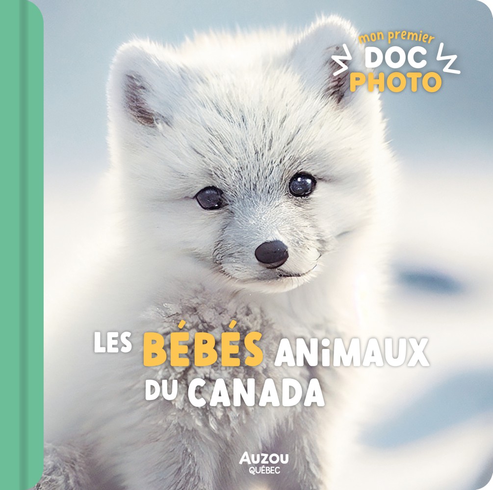 Mon Premier Doc Photo : Les Bébés Animaux Du Canada
