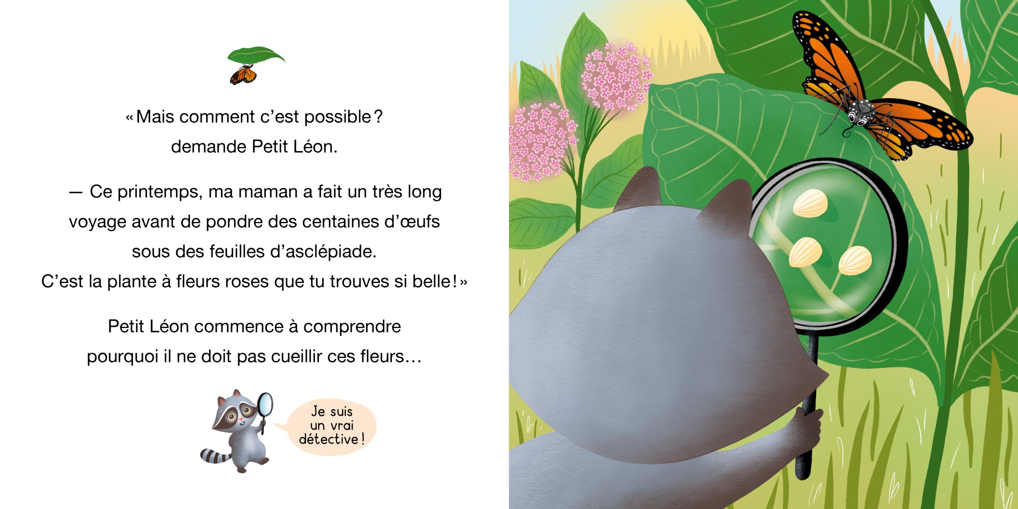 Petit Léon Et Le Papillon Monarque