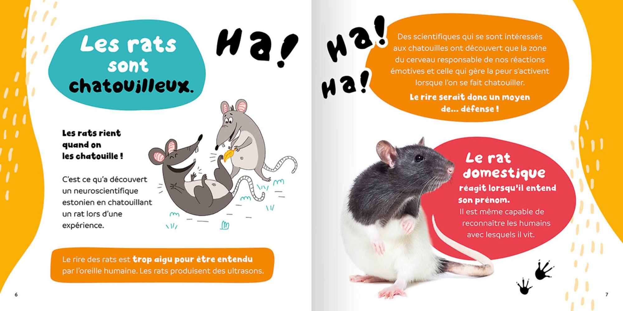 Pour Vrai ? 15 Faits Rigolos Sur Les Animaux