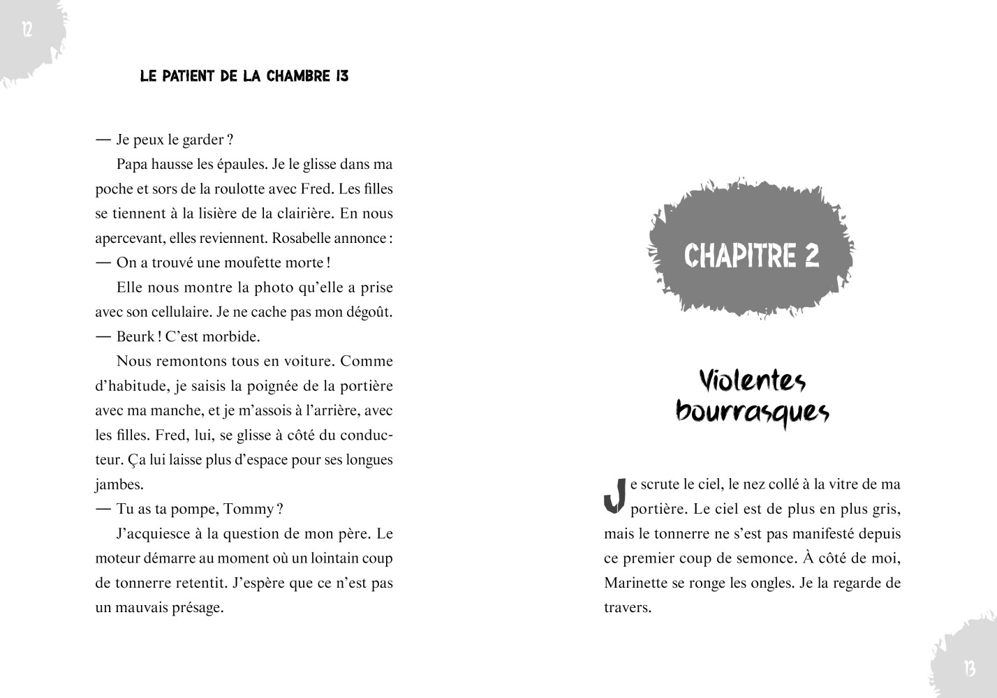 Le Patient De La Chambre 13