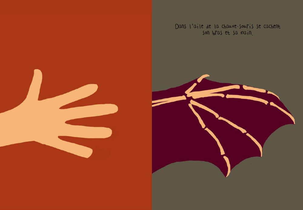 LA CHAUVE-SOURIS
