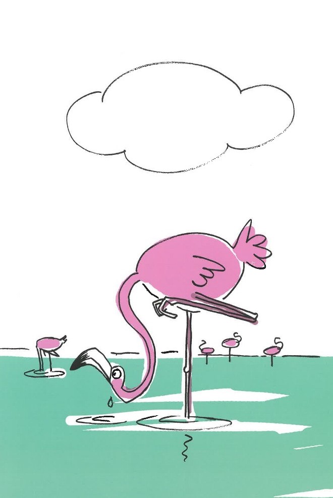 LE FLAMANT ROSE