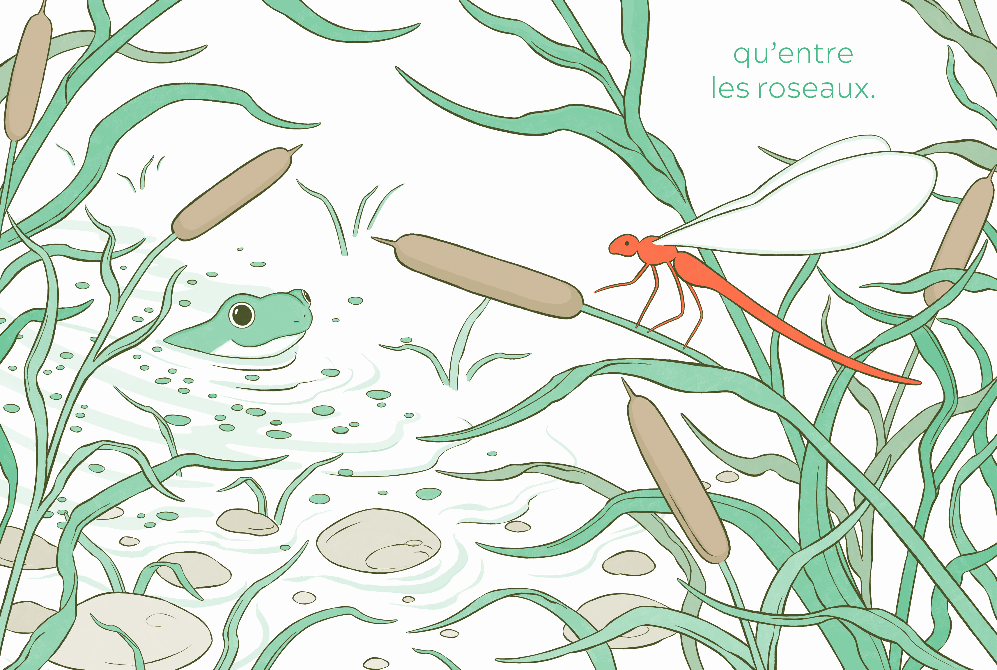 LA GRENOUILLE QUI AIMAIT LE ROUGE LA GRENOUILLE QUI AIMAIT LE ROUGE