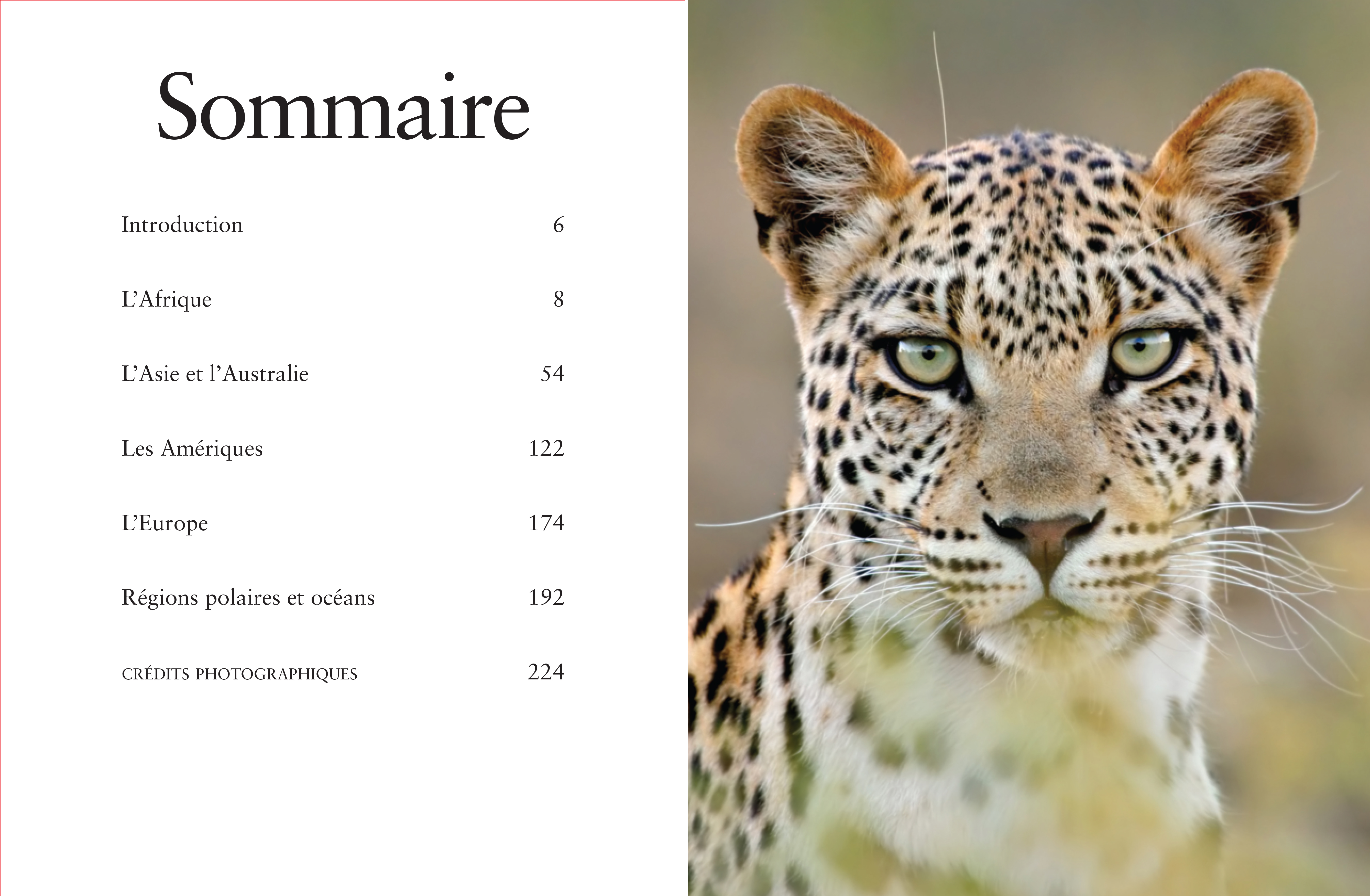 ANIMAUX EN DANGER