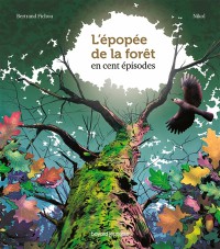 Voir les images