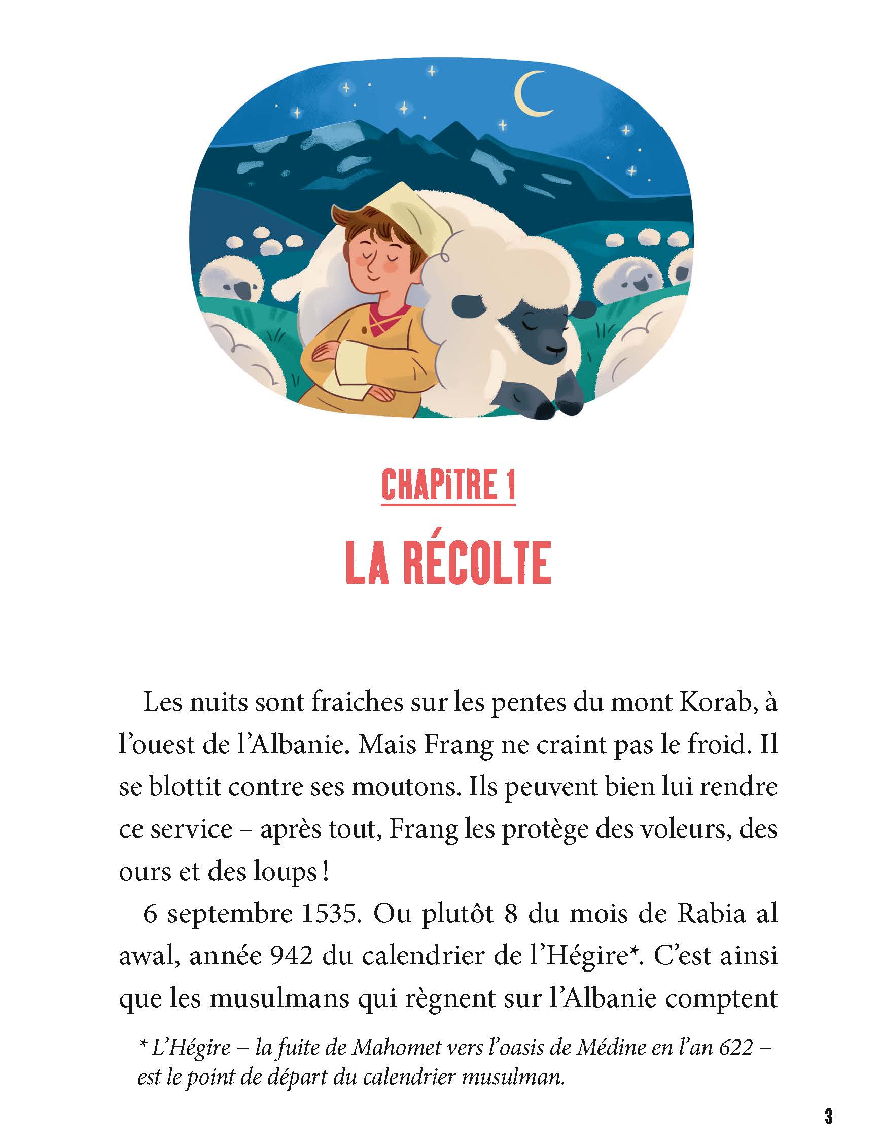 LA VERITABLE HISTOIRE DE MEHMED AU TEMPS DE SOLIMAN LE MAGNIFIQUE