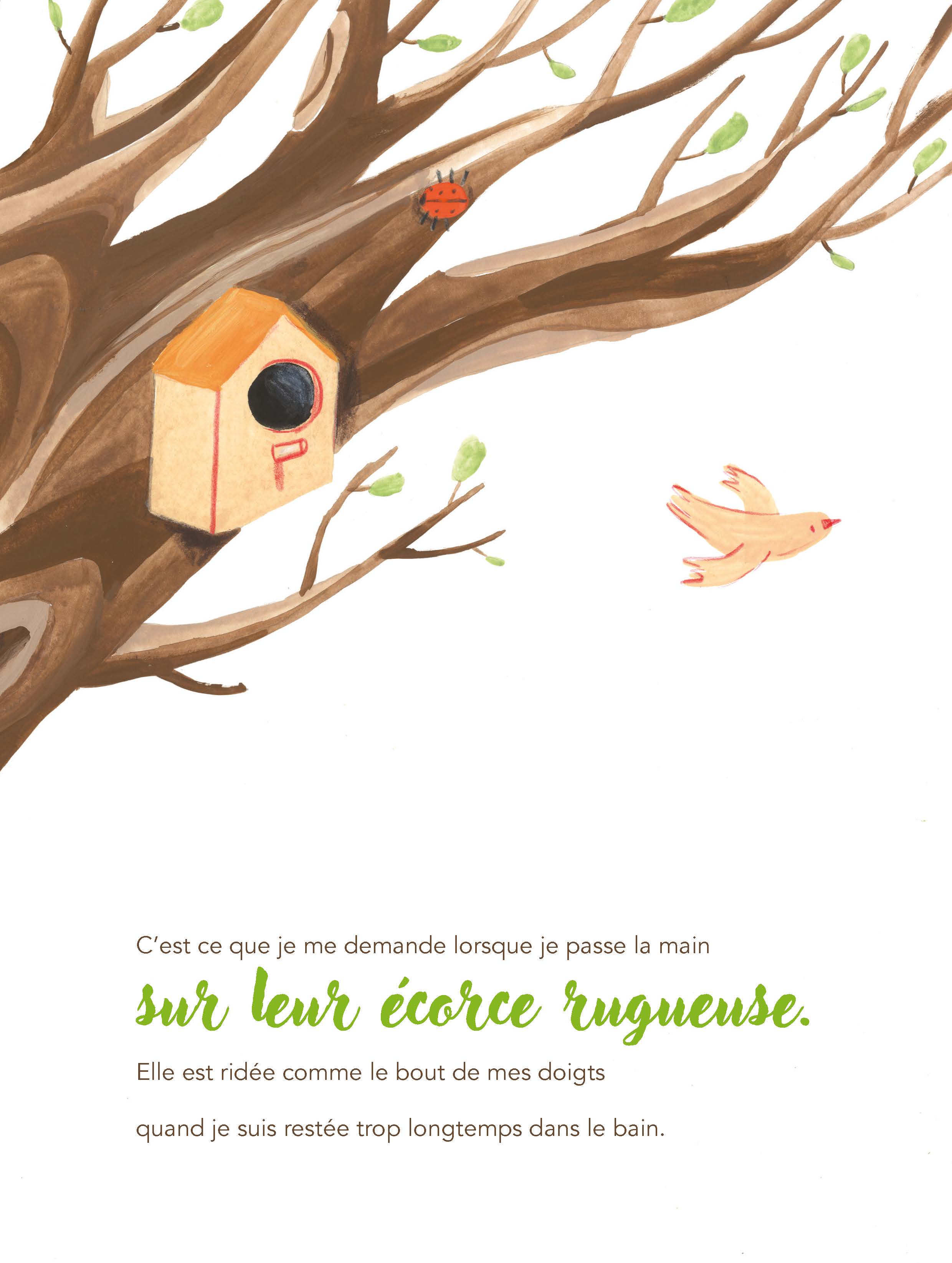 COUCOU, LES ARBRES !