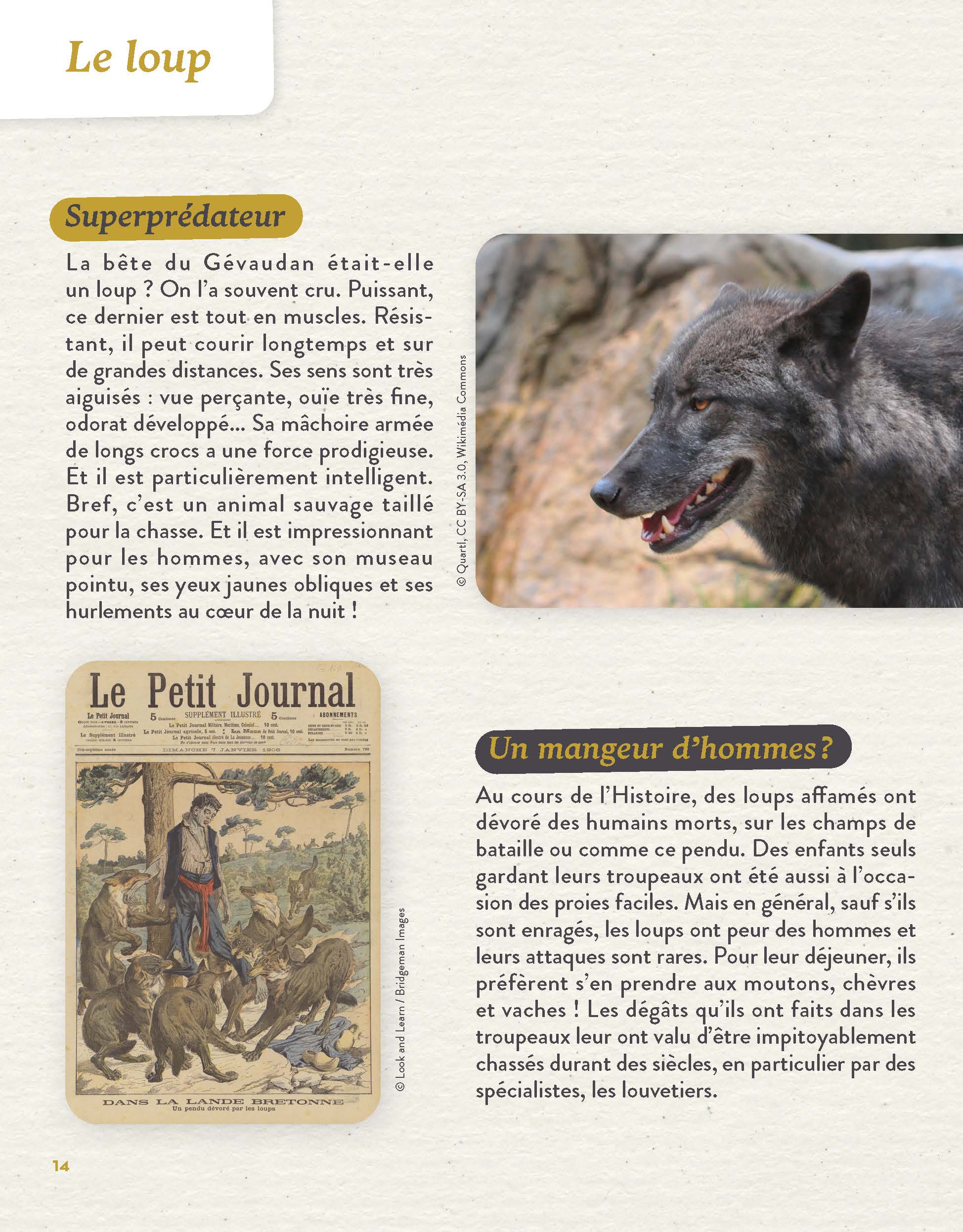 CREATURES ET MONSTRES DE LEGENDE