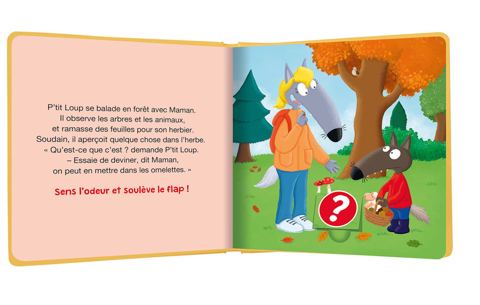 P'tit Loup - Le Livre Des Odeurs