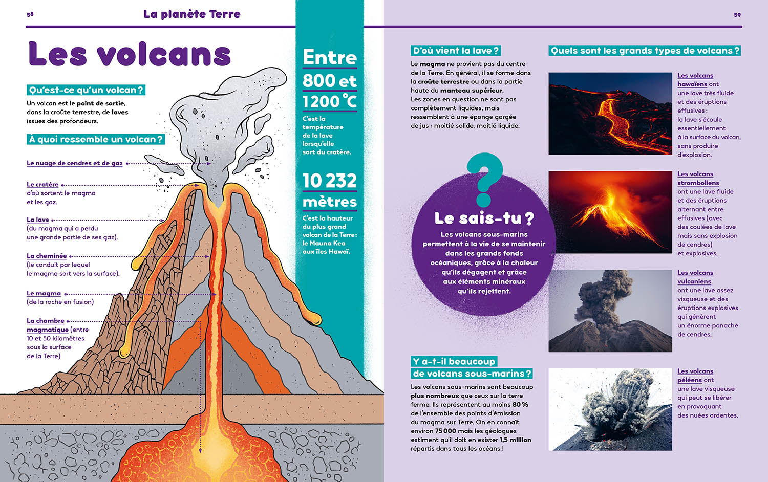 1001 Pourquoi Comment – Science & Vie Junior