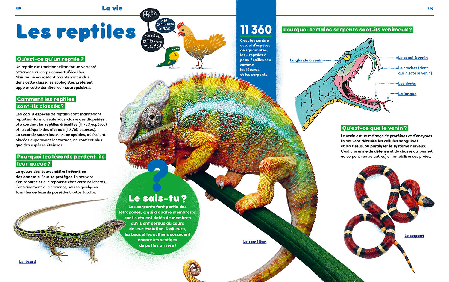 1001 Pourquoi Comment – Science & Vie Junior