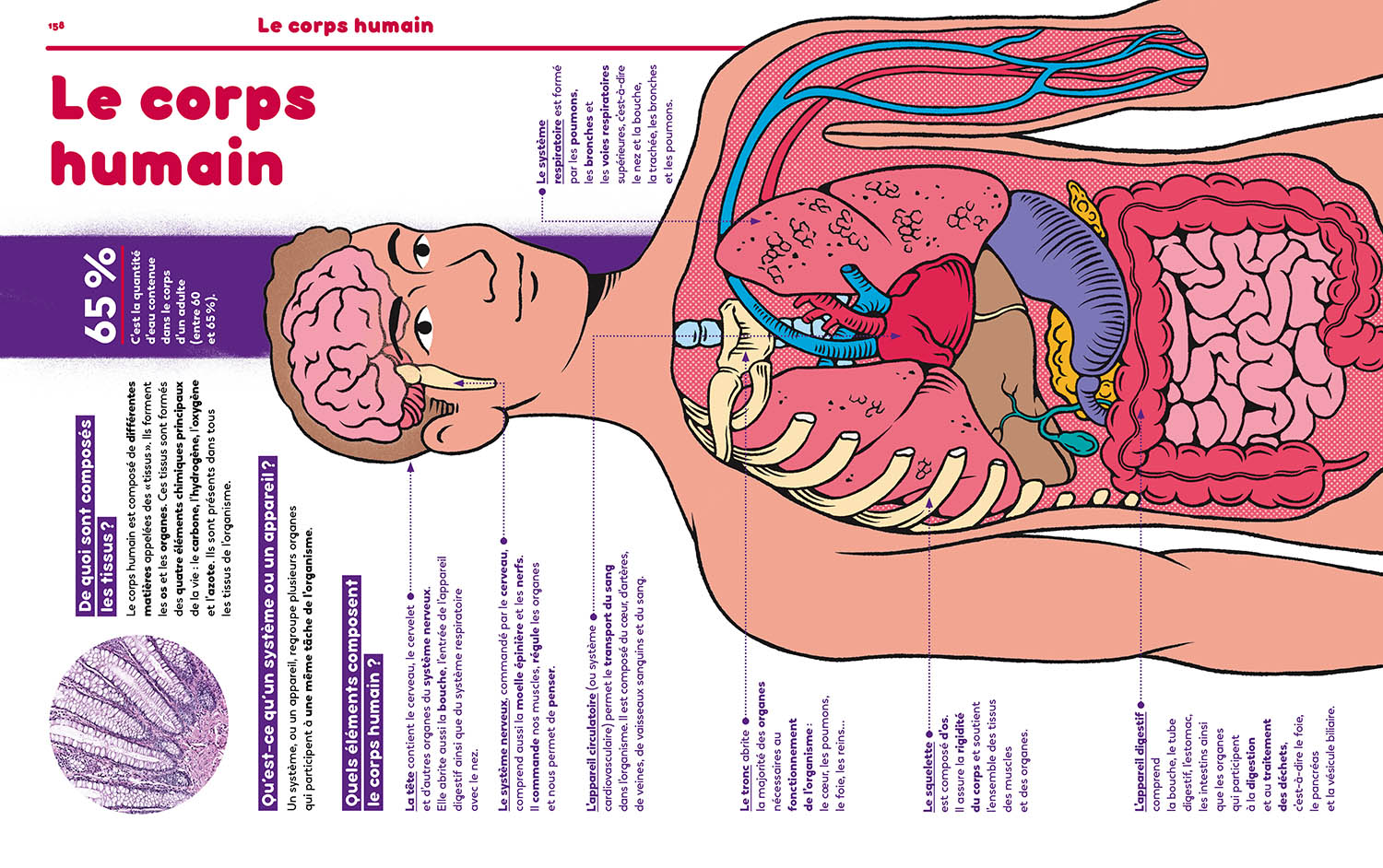 1001 Pourquoi Comment – Science & Vie Junior