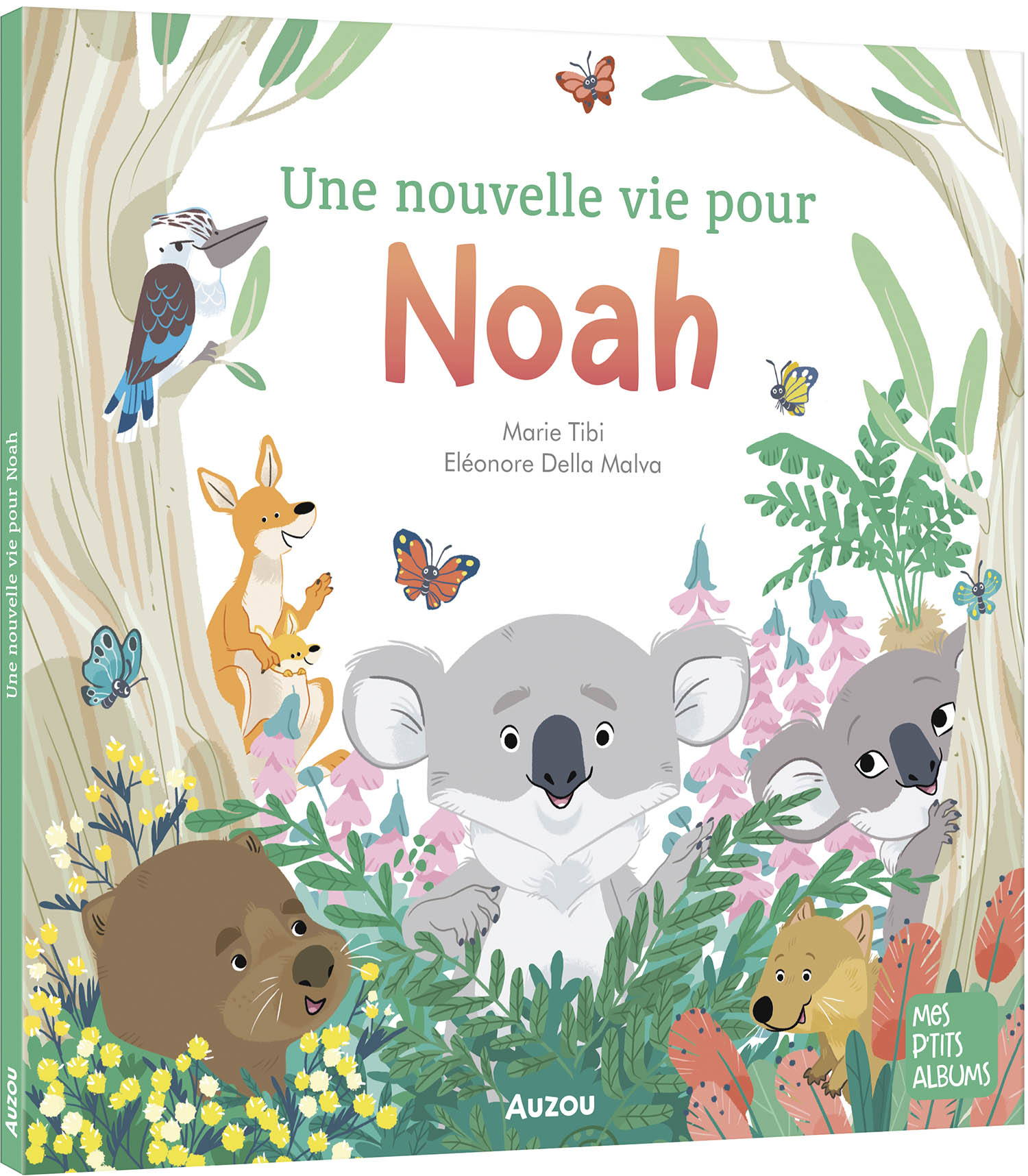 A Safe Home For Noah The Koala