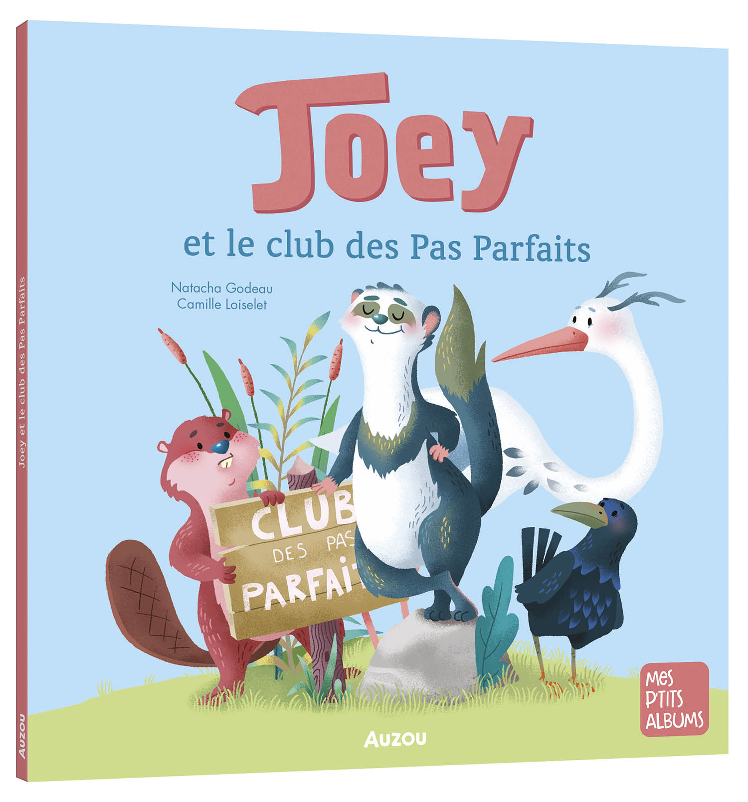 Joey And The Not-Perfect Club