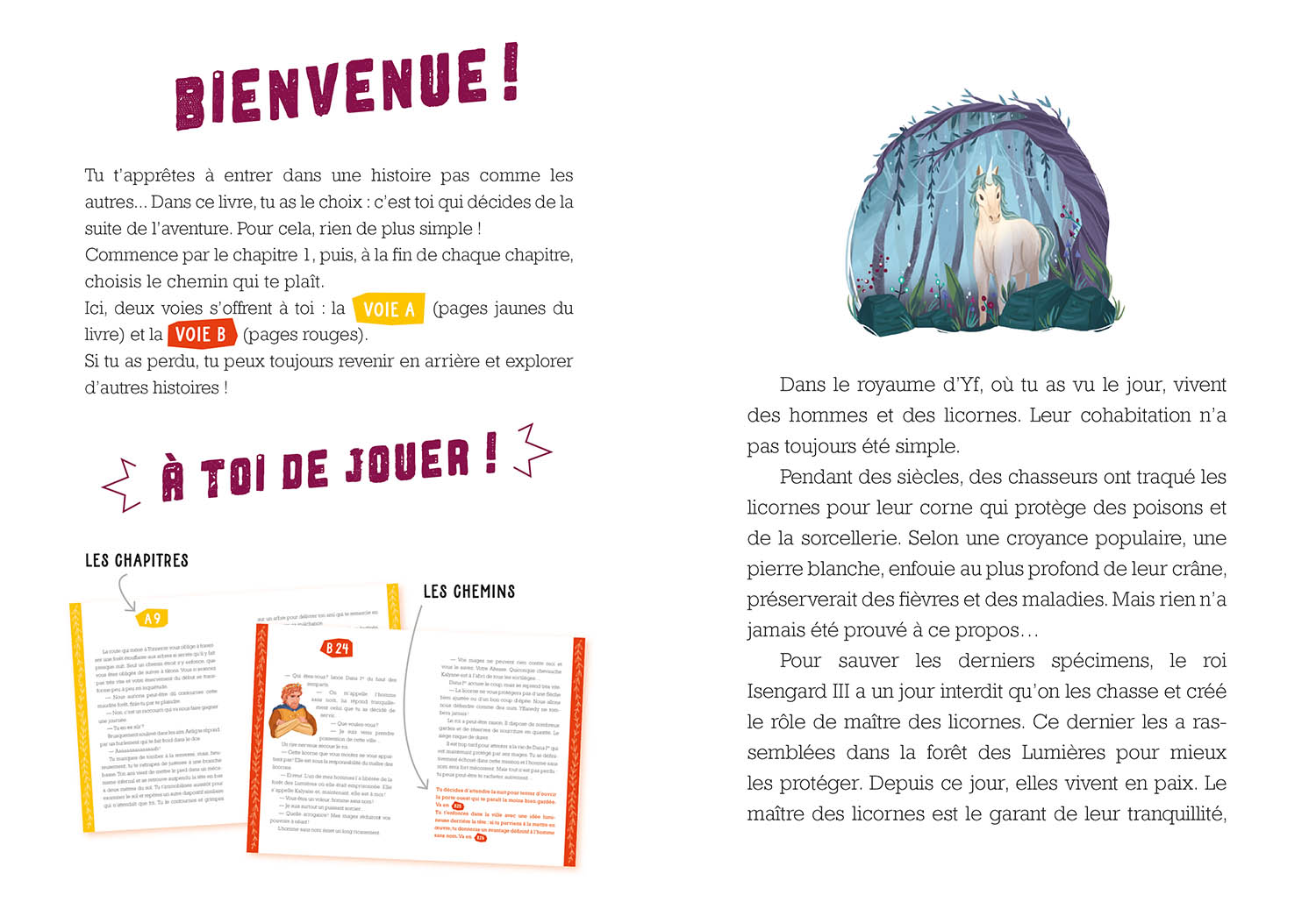 Deviens Le Héros - Le Maître Des Licornes Deviens Le Héros - Le Maître Des Licornes