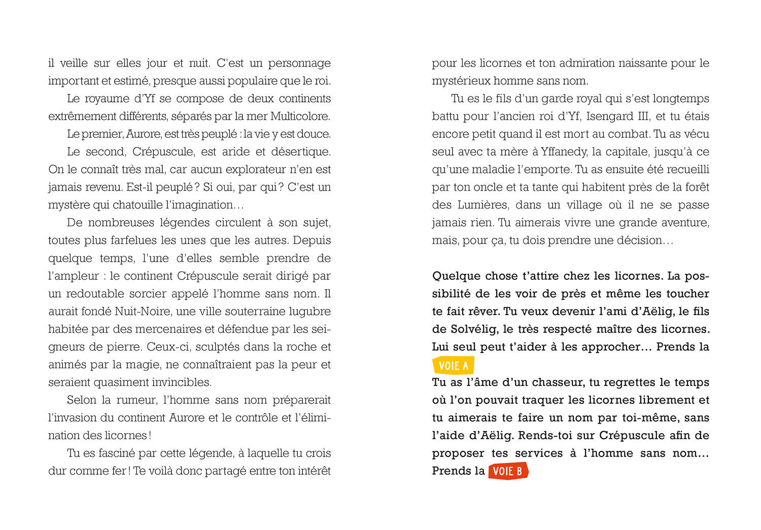 Deviens Le Héros - Le Maître Des Licornes Deviens Le Héros - Le Maître Des Licornes