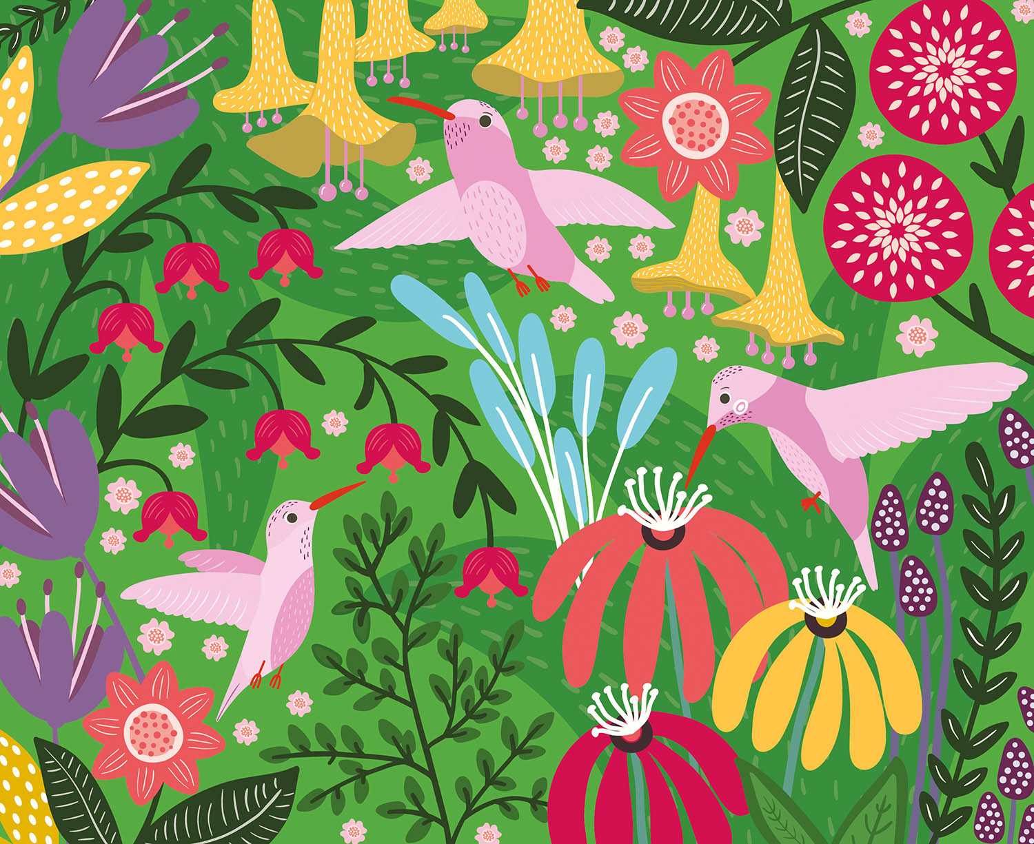 Mes Cartes À Gratter : Oiseaux Fantastiques