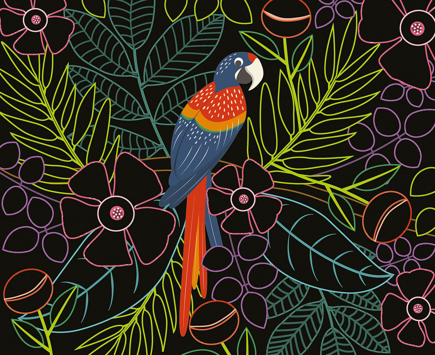Mes Cartes À Gratter : Oiseaux Fantastiques