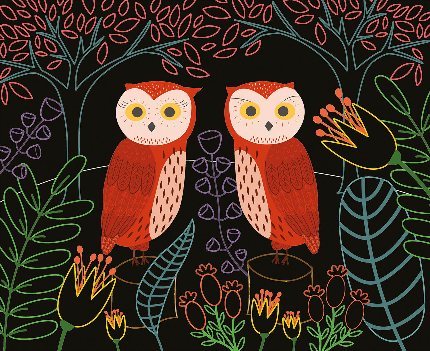 Mes Cartes À Gratter : Oiseaux Fantastiques