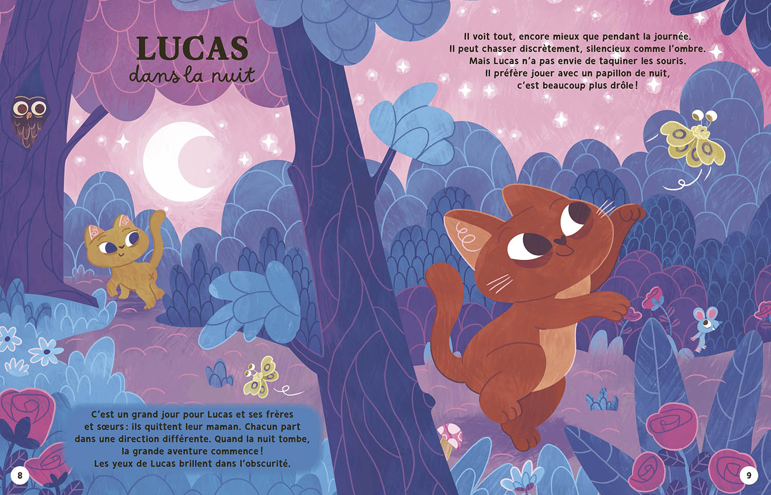 Mes 22 Histoires Du Soir Pour Les Petits Mes 22 Histoires Du Soir Pour Les Petits