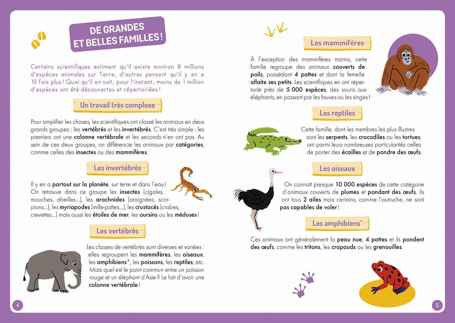 À La Découverte Des Animaux Du Monde À La Découverte Des Animaux Du Monde