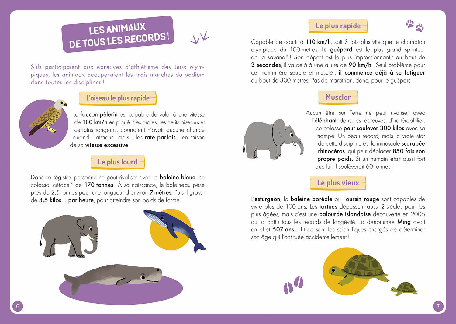 À La Découverte Des Animaux Du Monde À La Découverte Des Animaux Du Monde