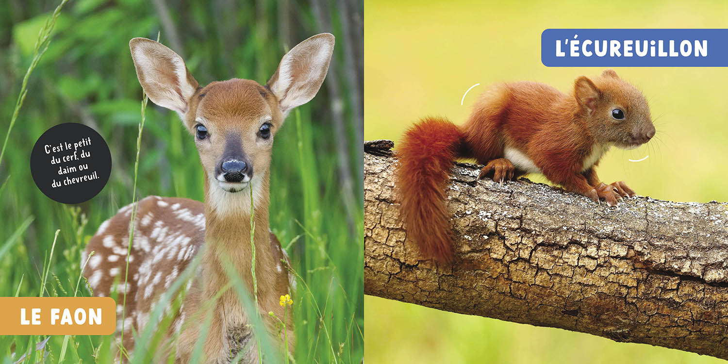 Mon Premier Doc Photo - Les Bébés Animaux Mon Premier Doc Photo - Les Bébés Animaux