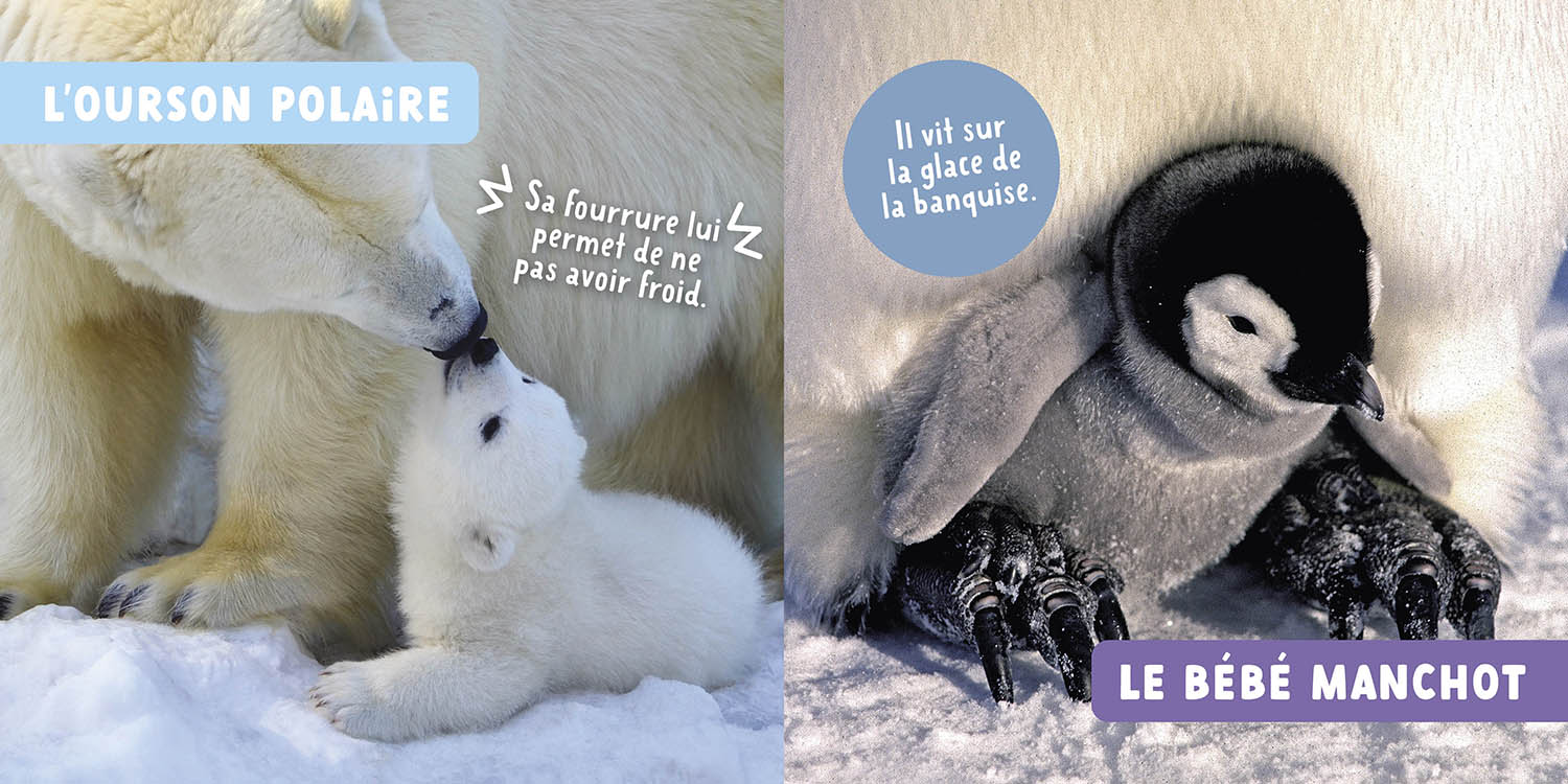 Les Bébés Animaux