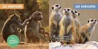 LES ANIMAUX DE LA SAVANE - MON PREMIER DOC PHOTO 