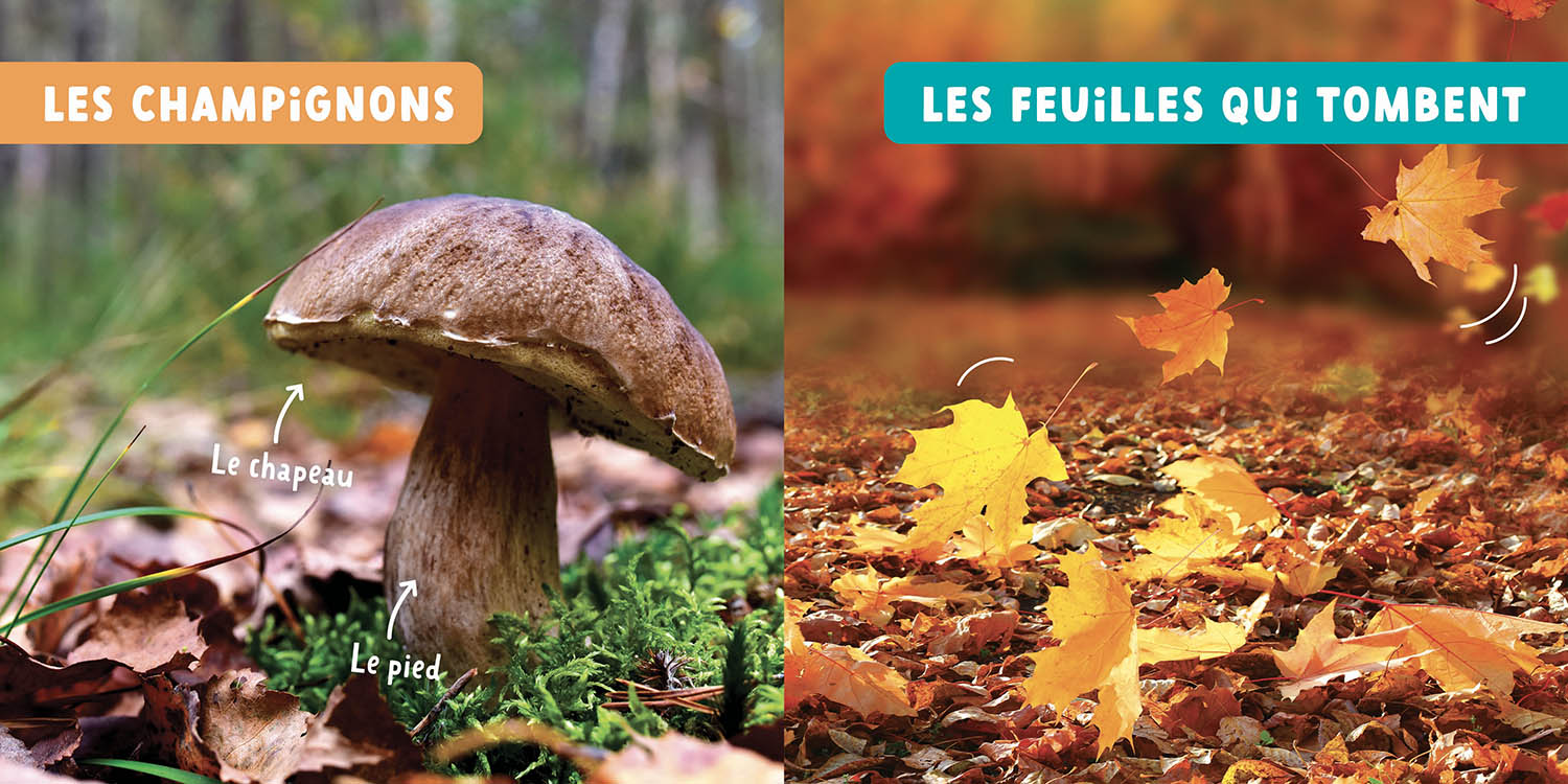 Les Saisons