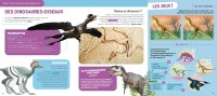 Ludoc - Découvrir Et Jouer - Les Dinosaures Ludoc - Découvrir Et Jouer - Les Dinosaures