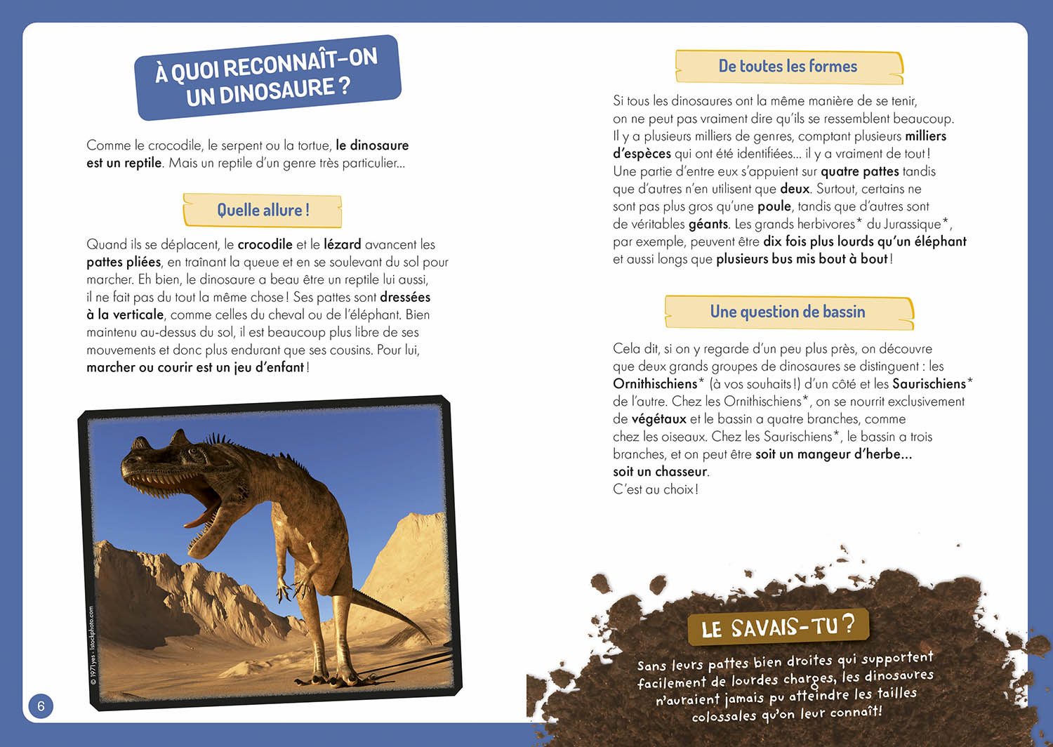 À La Découverte Des Dinosaures À La Découverte Des Dinosaures