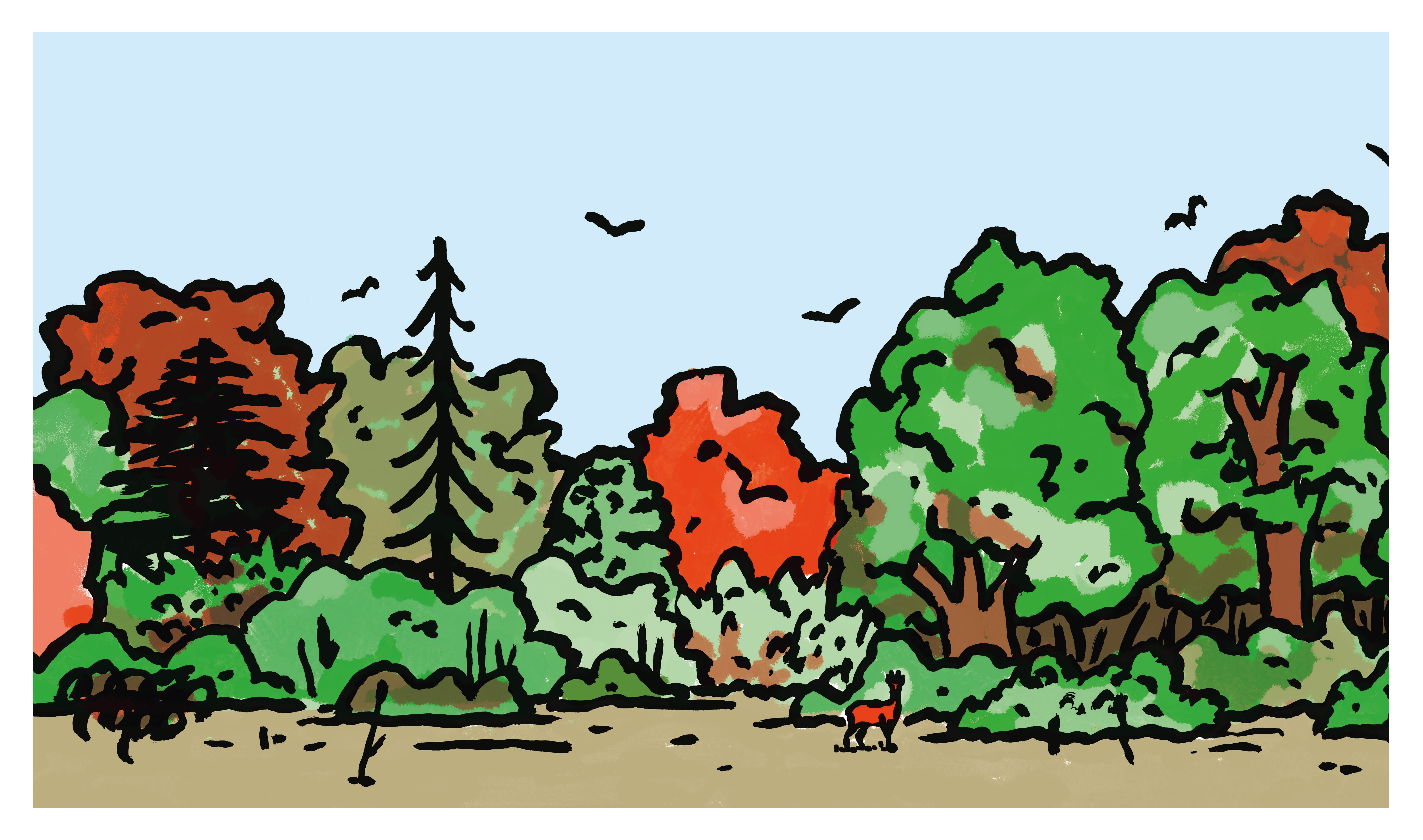 KAMISHIBAI - 20 NOISETTES POUR HECTOR