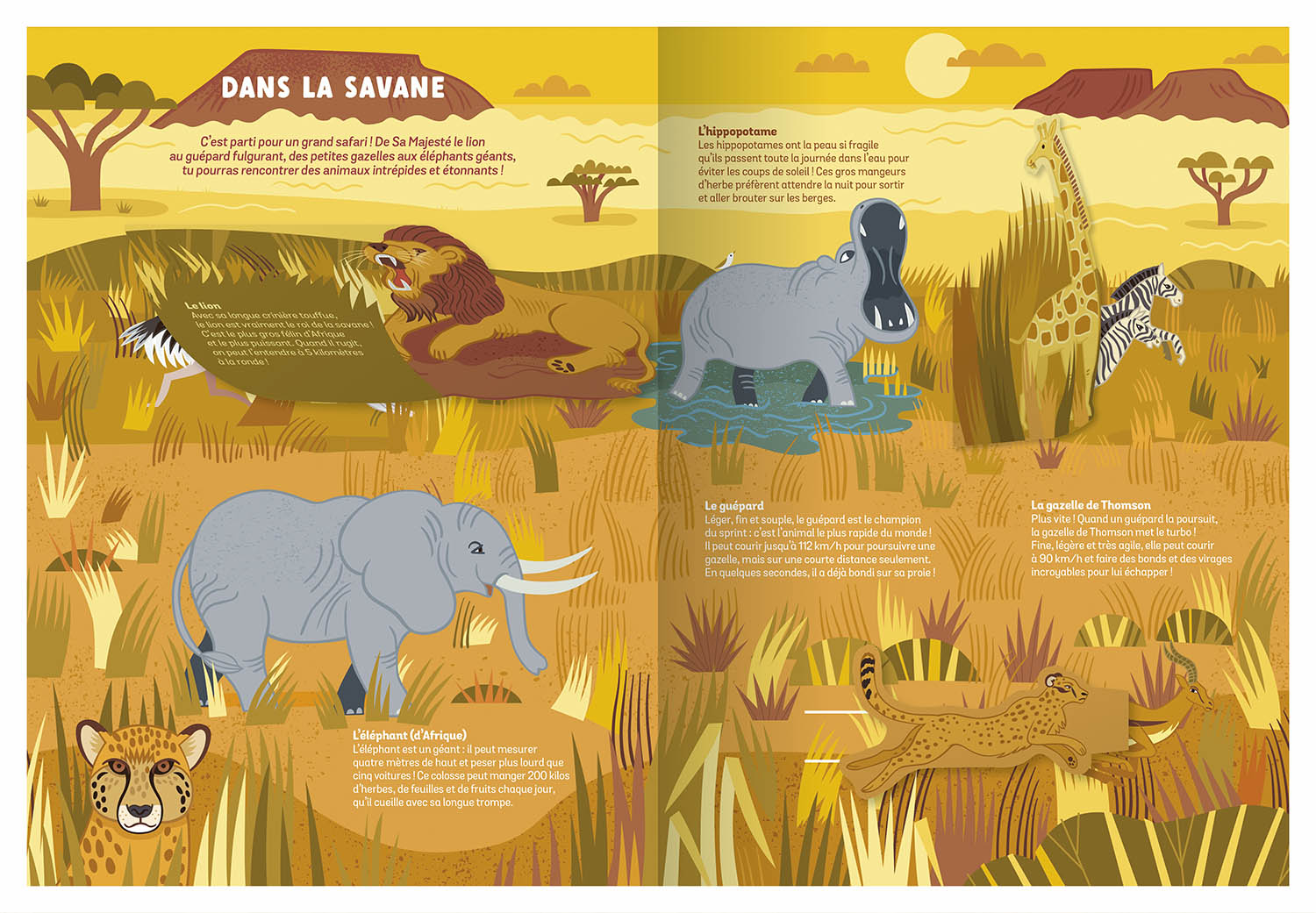 Les animaux sauvages