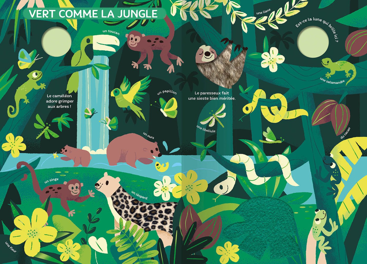 Le Monde Des Couleurs