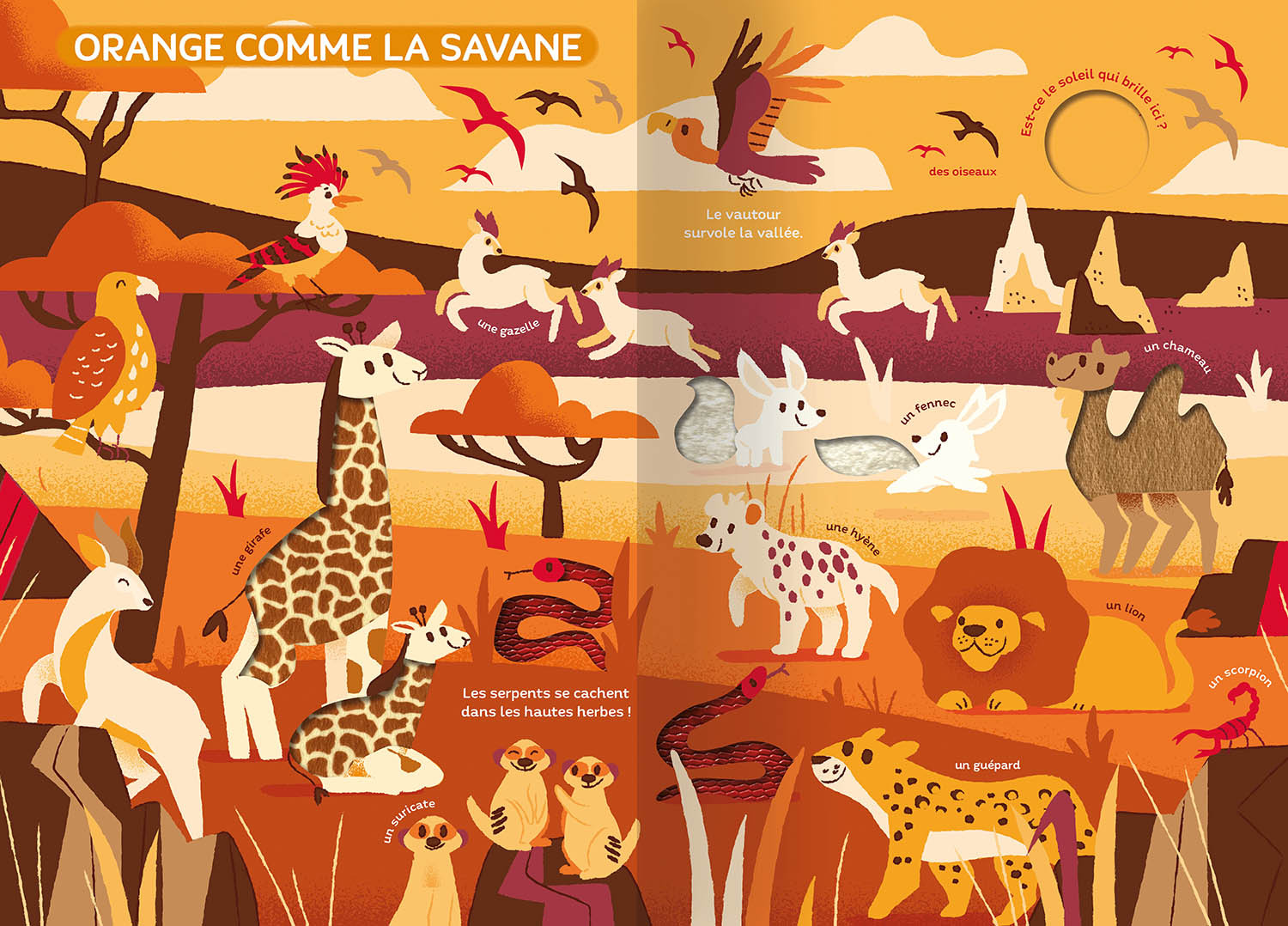 Le Monde Des Couleurs