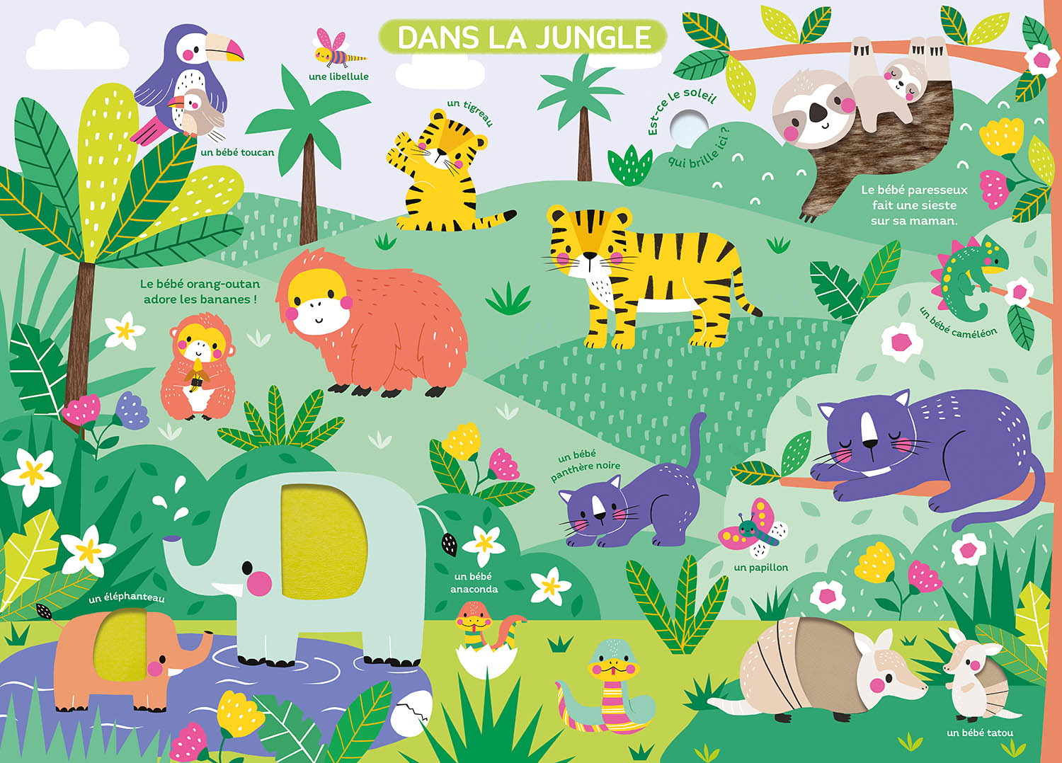 LES BEBES ANIMAUX